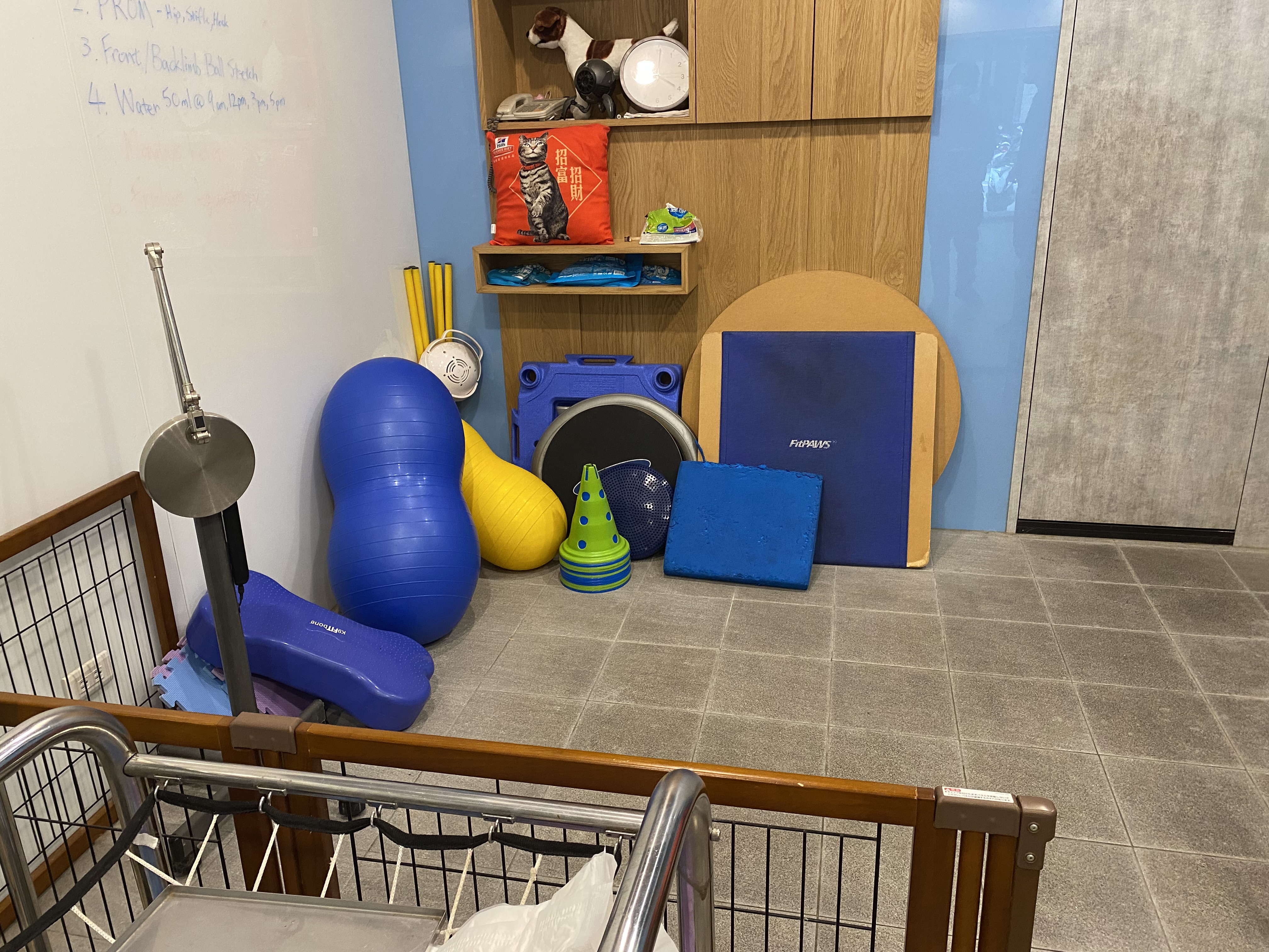 寵物長照機構添購各式復健輔具與器材