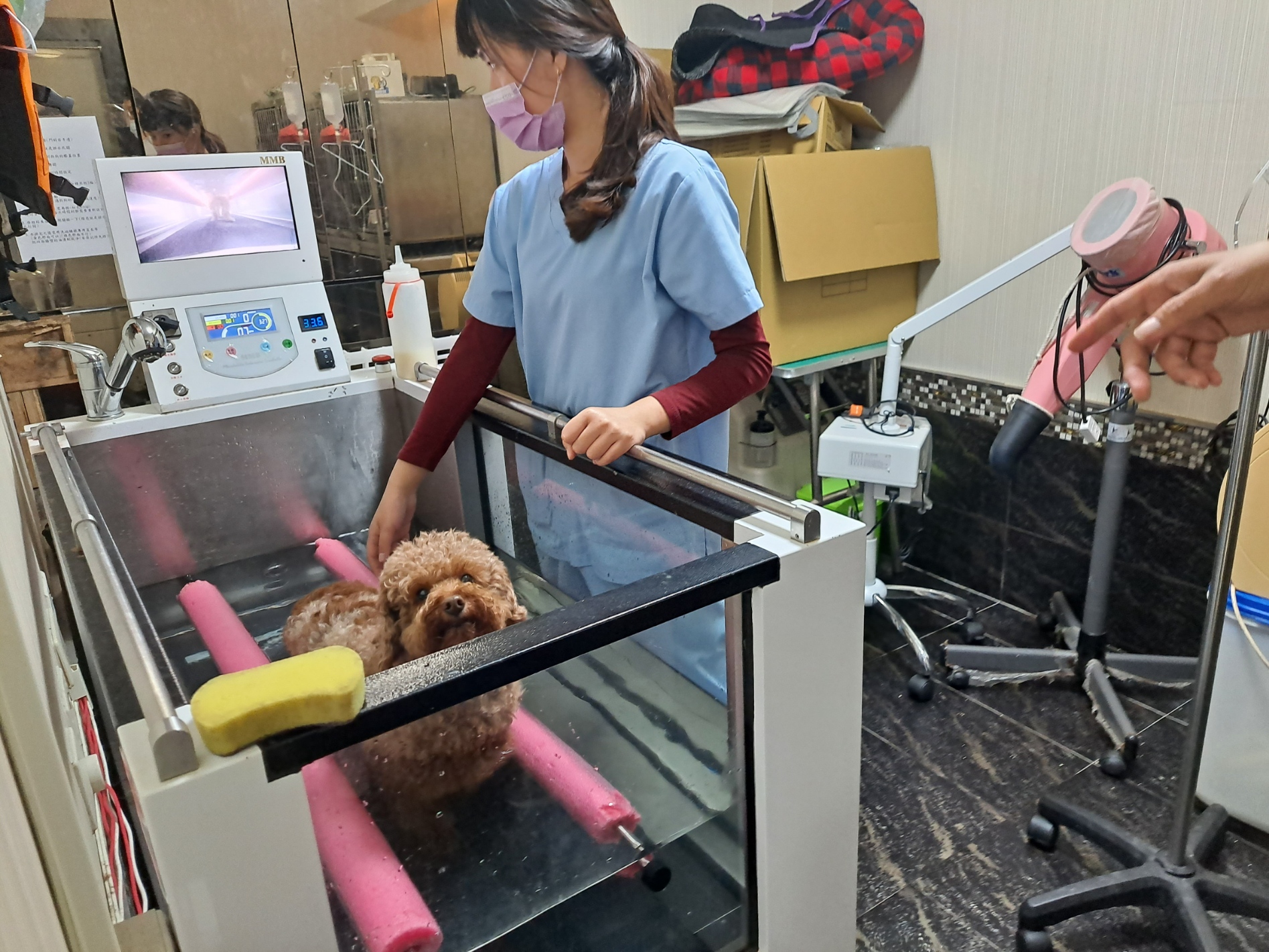 寵物長照機構添購水療機