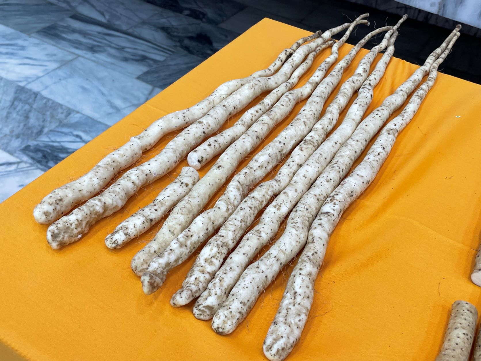 平溪山藥採用非穴管的方式栽培，因此外型細長