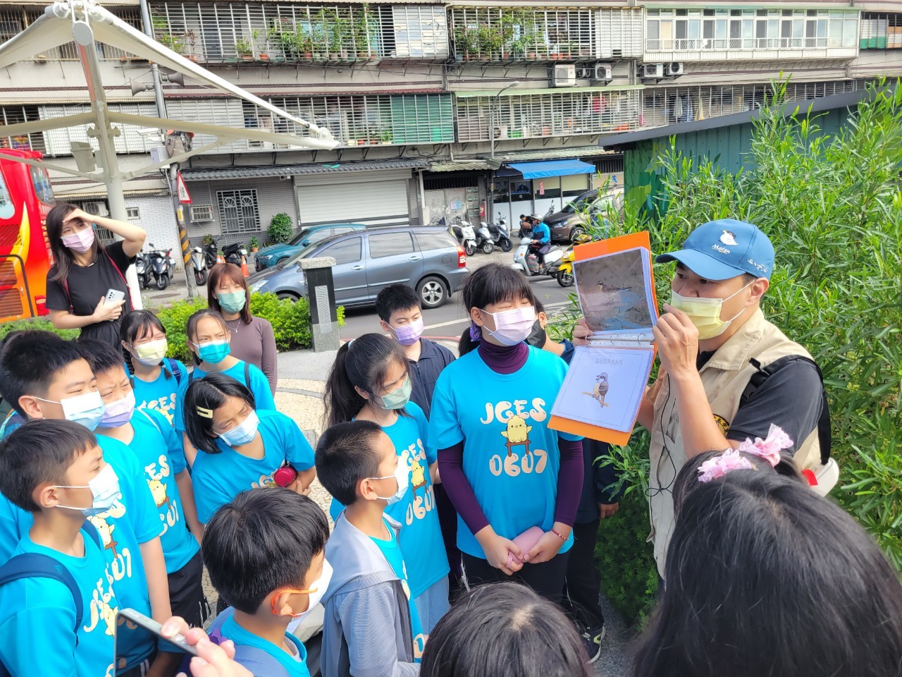 野鳥學會透過教學圖卡進行常見鳥類介紹