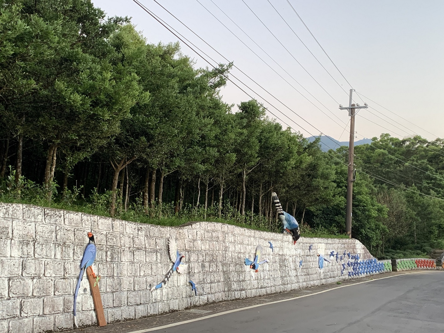 馬路旁台灣藍鵲裝置藝術2