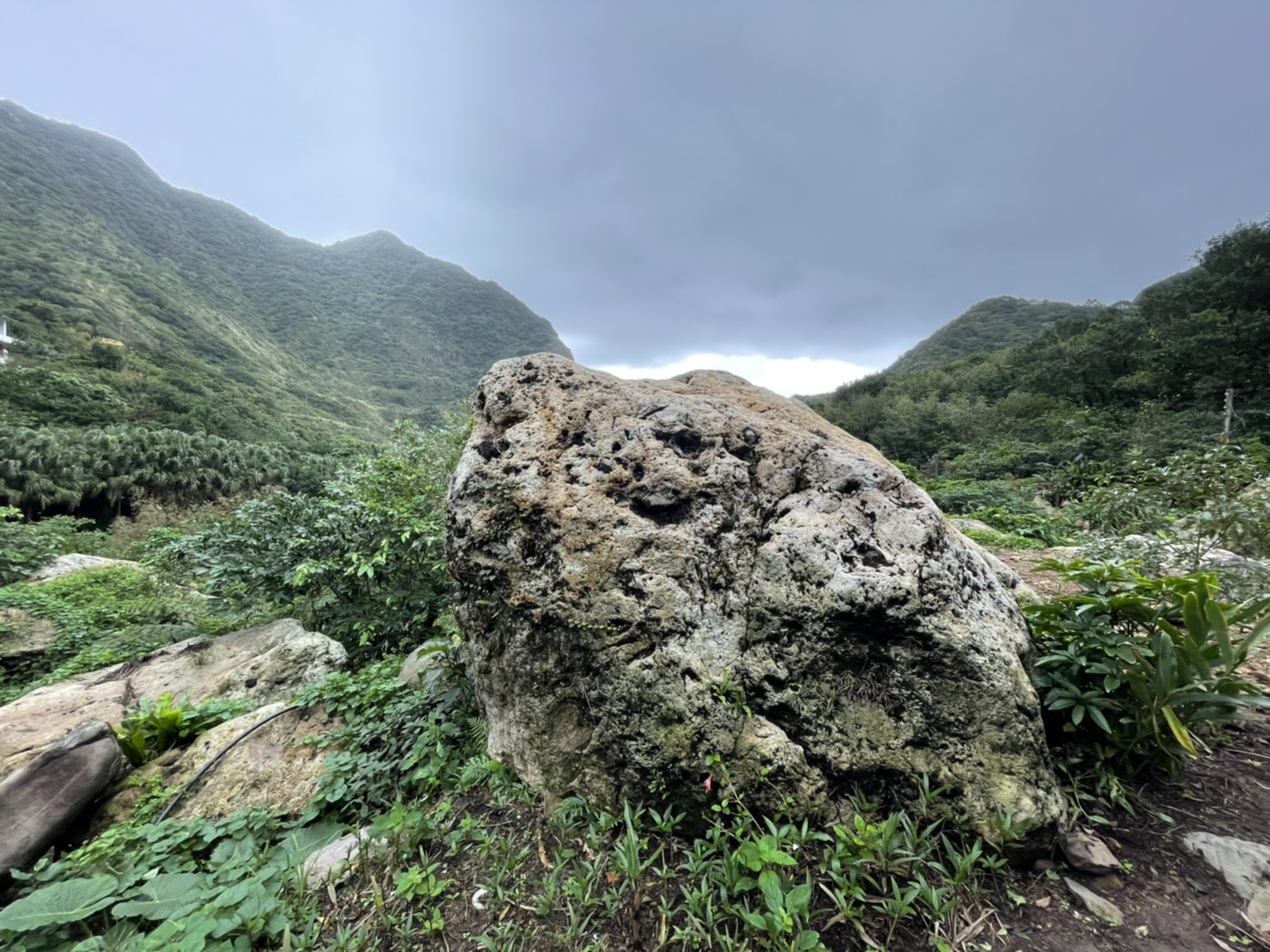 三安社區最大特色即是巨石群坐落於社區各處