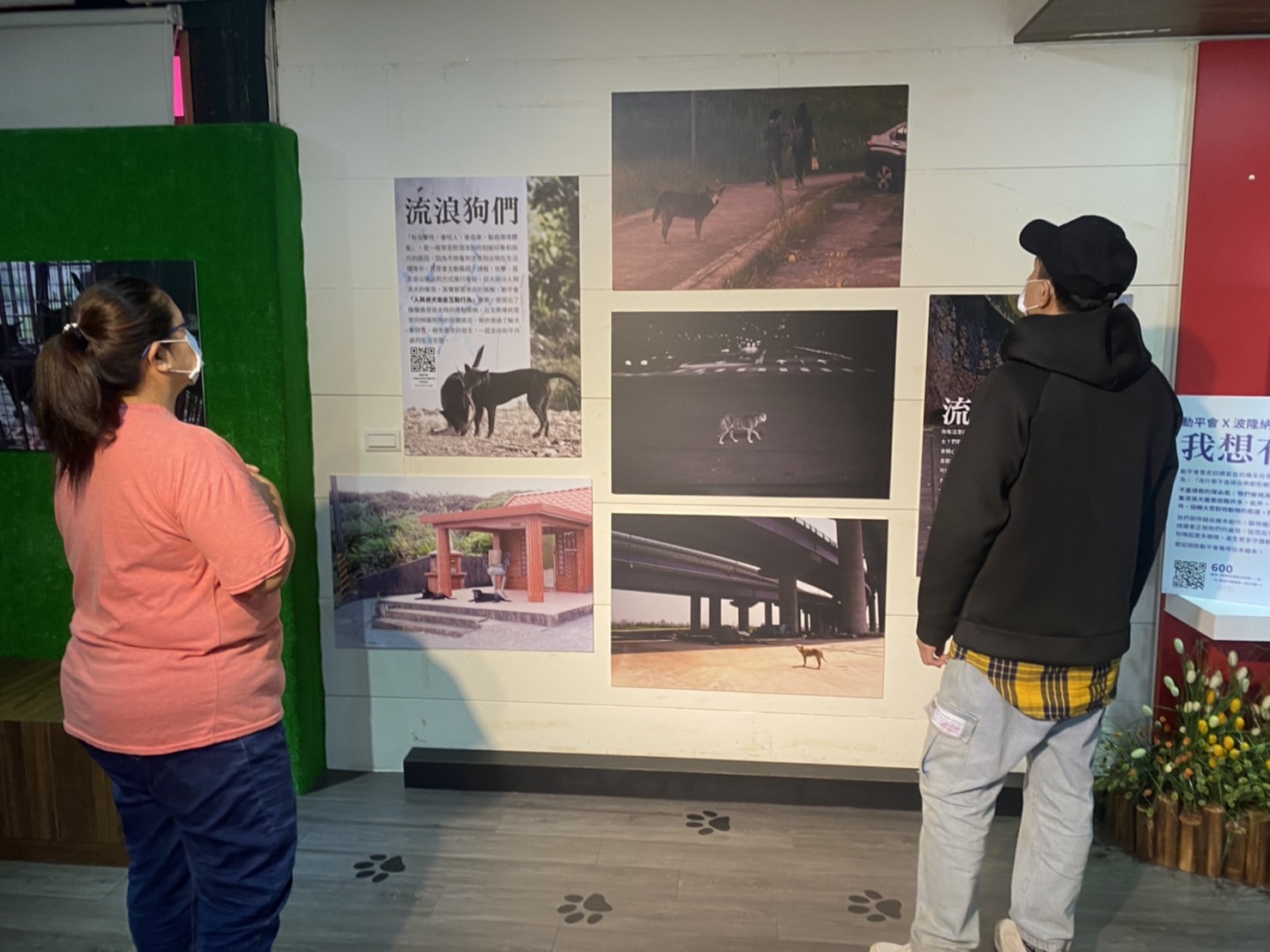 民眾至毛寶貝教育園區觀賞展覽