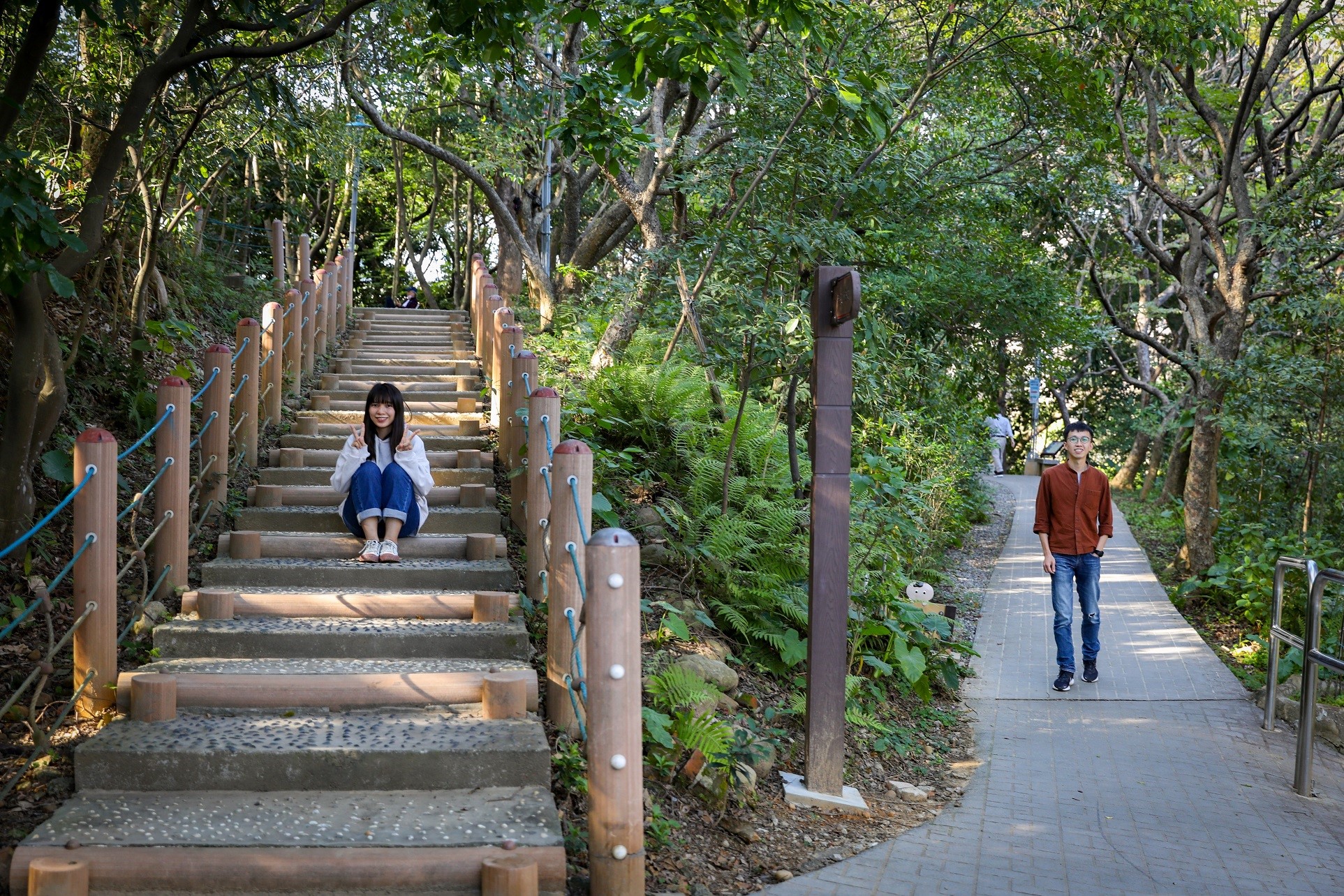 圖1. 中和區自強公園化身都市森林