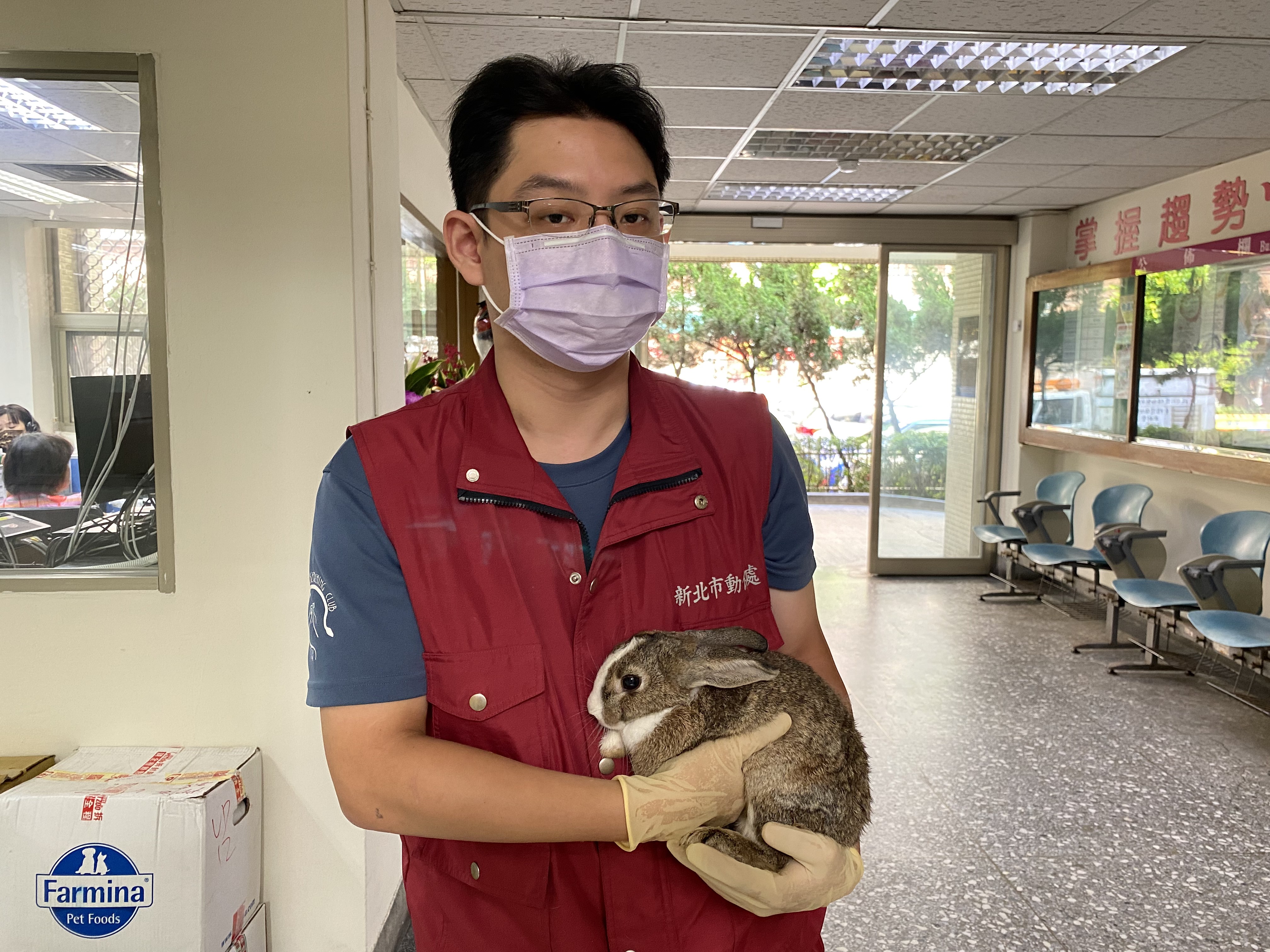 兔子不像貓狗一樣撒嬌，甚至不喜歡被抱，天性喜歡啃咬破壞家具，也可能具備攻擊性，有可能時常面臨換毛期而造成飼主過敏