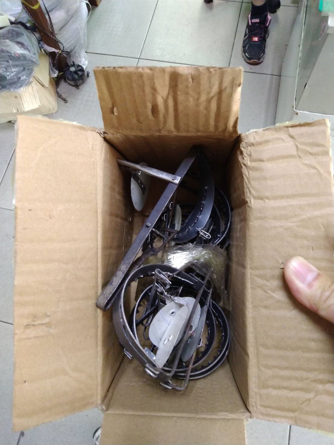 動保處前往樹林區帶回販售出的獸鋏