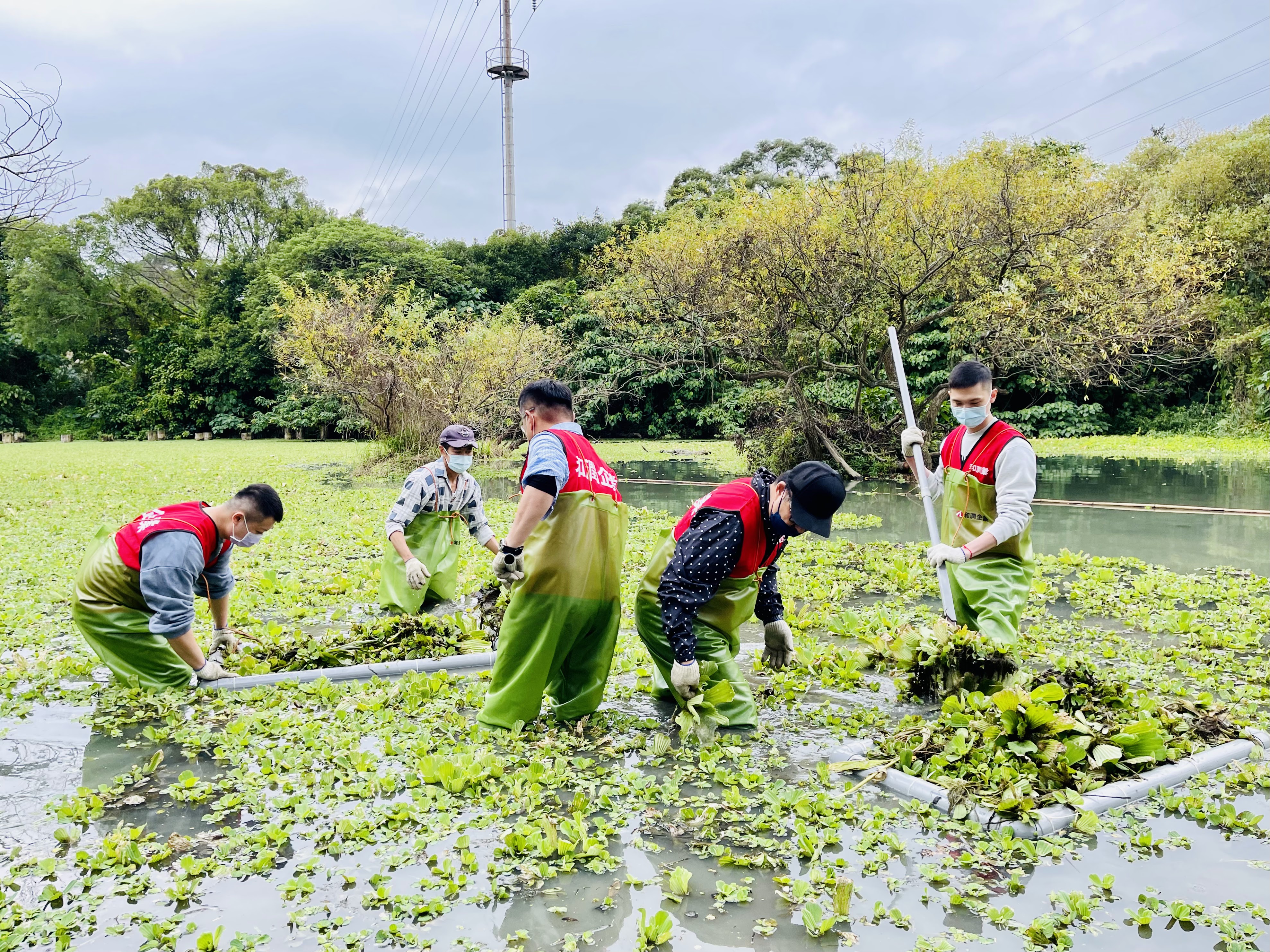 3.和潤企業志工撈除大萍