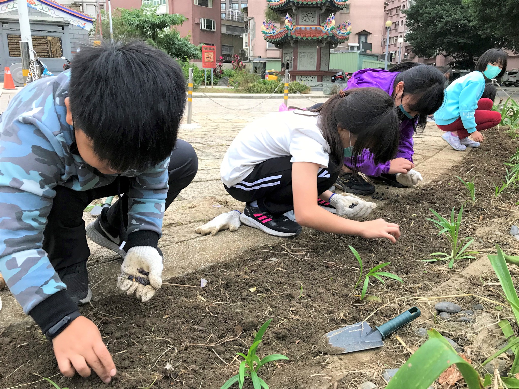 7.八里區米倉國小學生認養左岸花圃，進行社區棲地營造，推廣鐵炮百合等原生海濱植物