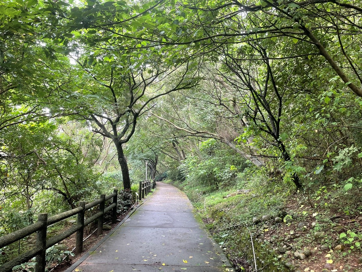 圖1. 綠意盎然的森林步道