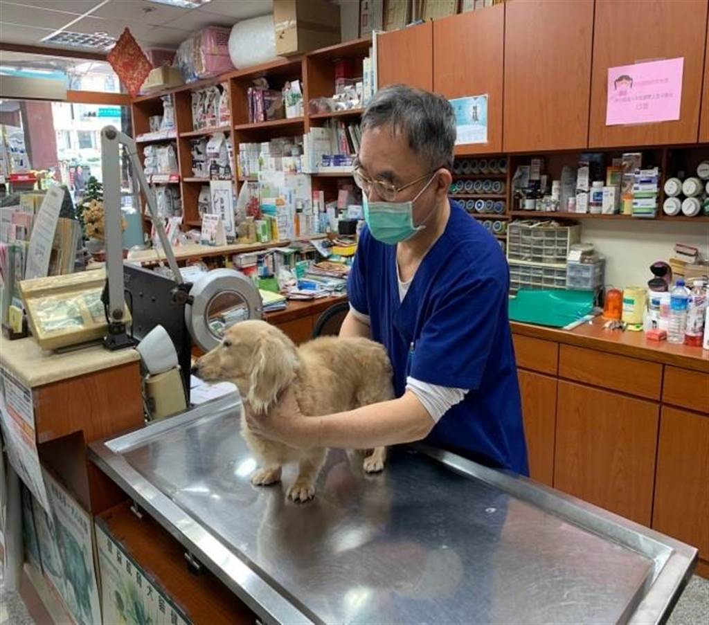 動物醫院獸醫師為動物理學檢查