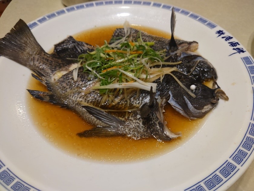 清蒸黑毛魚