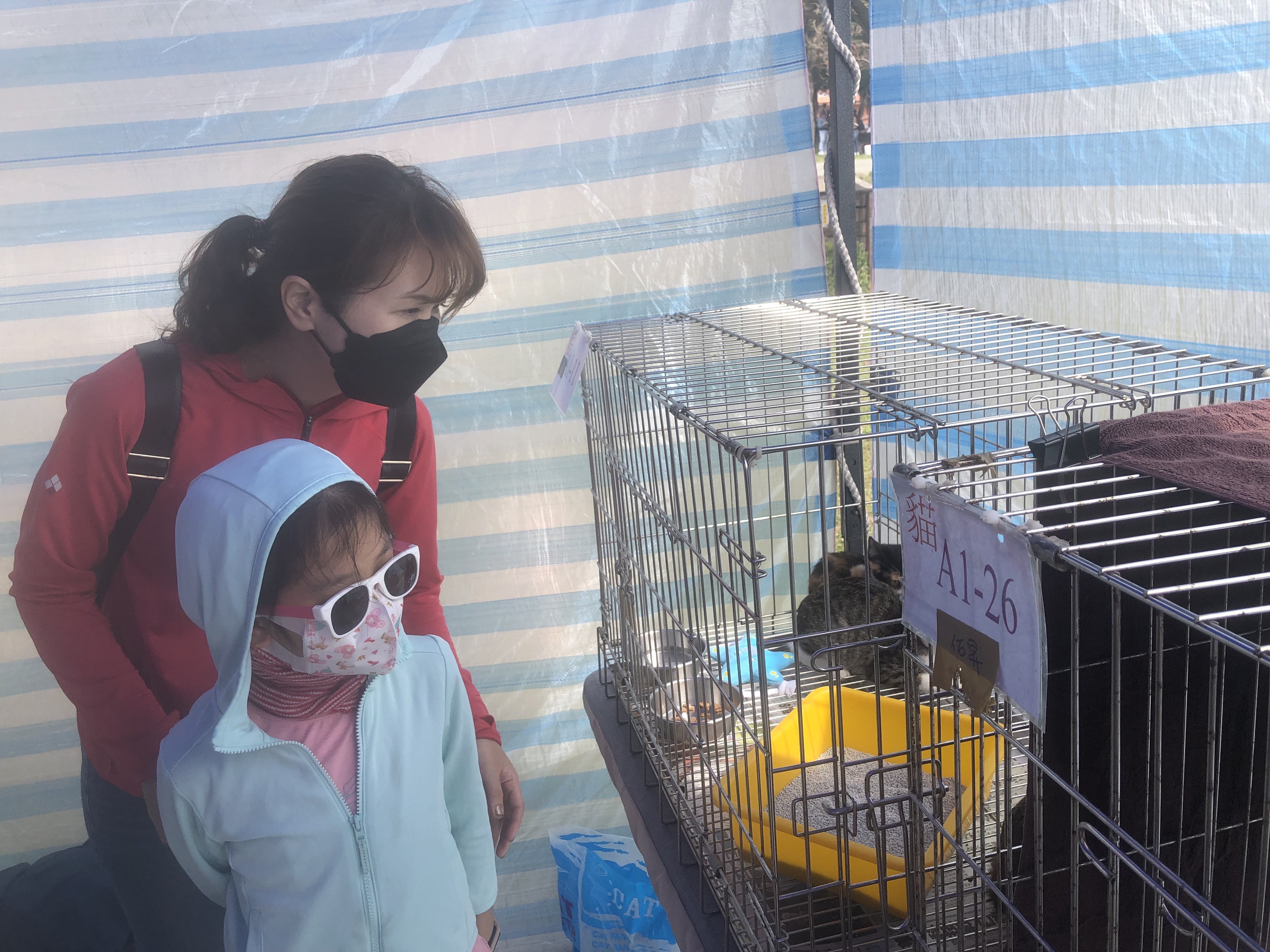 現場有許多親人犬貓等待認養