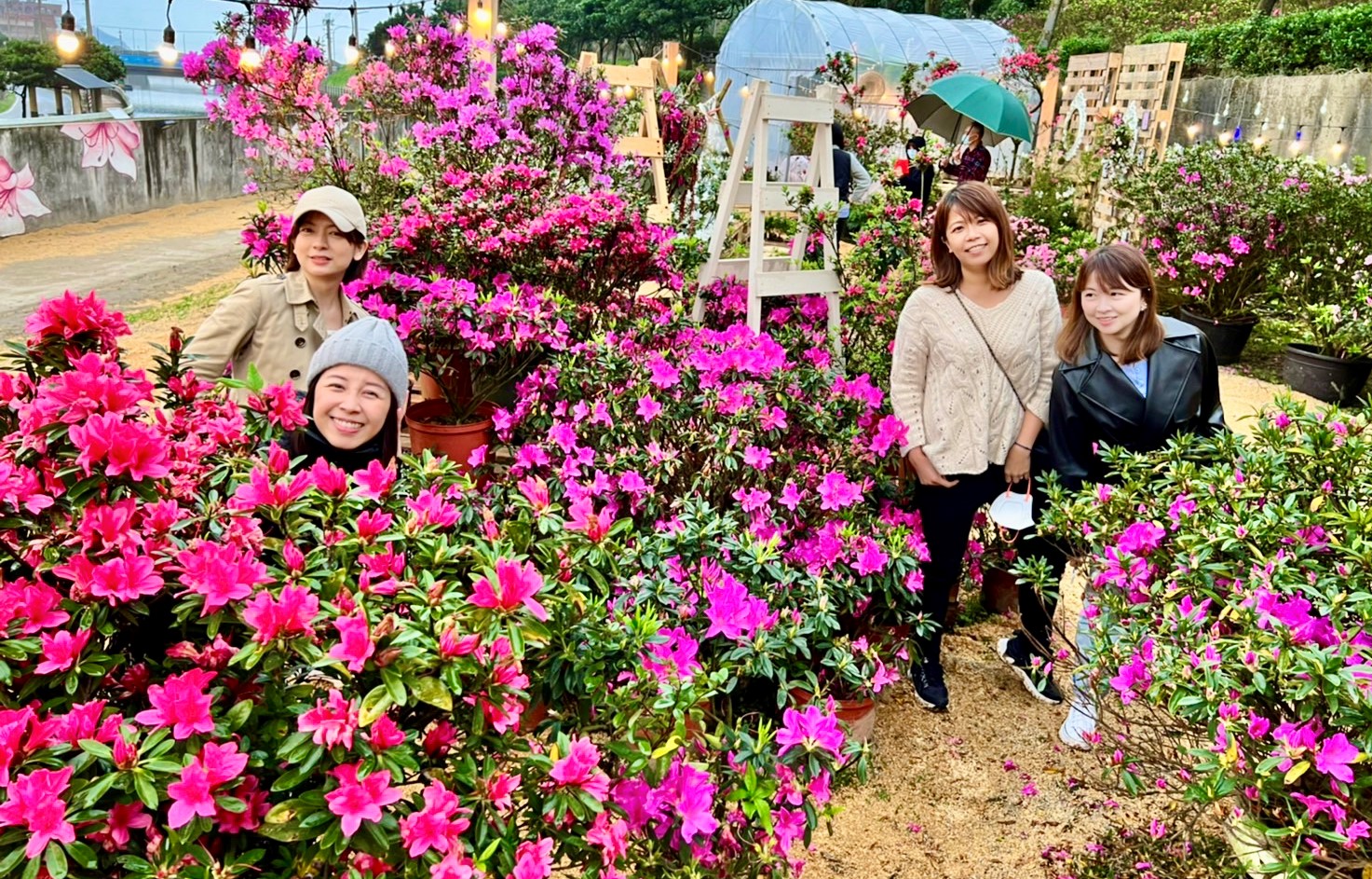 新北市農業局以「移動花聚落」為主題，讓杜鵑與各領域的20位藝術家相碰撞，共同創造國際級杜鵑花展(資料照片).