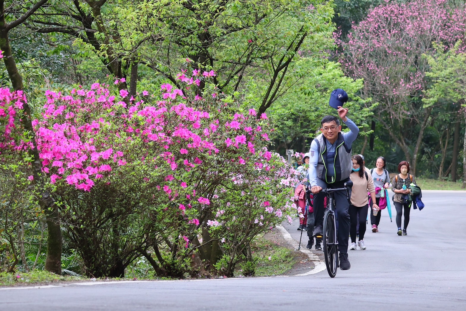 最美「景觀廊道」雙泰產業道路，10萬餘株杜鵑花一路綿延20多公里，不論是健行賞花、騎自行車或是沿途車遊都可欣賞景觀廊道之美