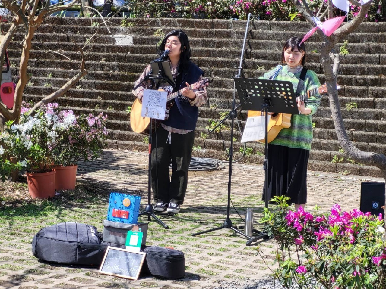 萬金杜鵑花展周末假日花展都有街頭藝術家進行表演