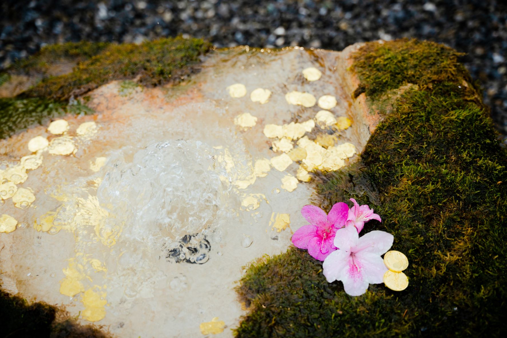 萬金杜鵑花展於萬里觀光公園打造「湧萬金」噴泉，堪稱是「新許願勝地」，每天人流眾多，到此祈福希望「擁萬金」