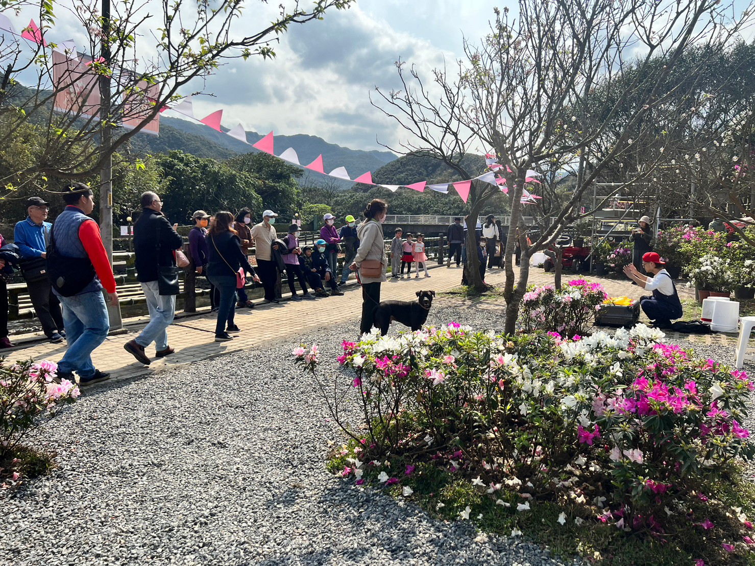 2023萬金杜鵑「移動花聚落」花展於「萬里區觀光公園」及「瑪鋉運動公園」熱鬧展出，開展以來已逾6萬人進場觀展