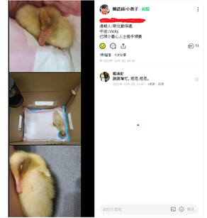 可愛睡眠萌樣放上網路立刻吸引眾人目光