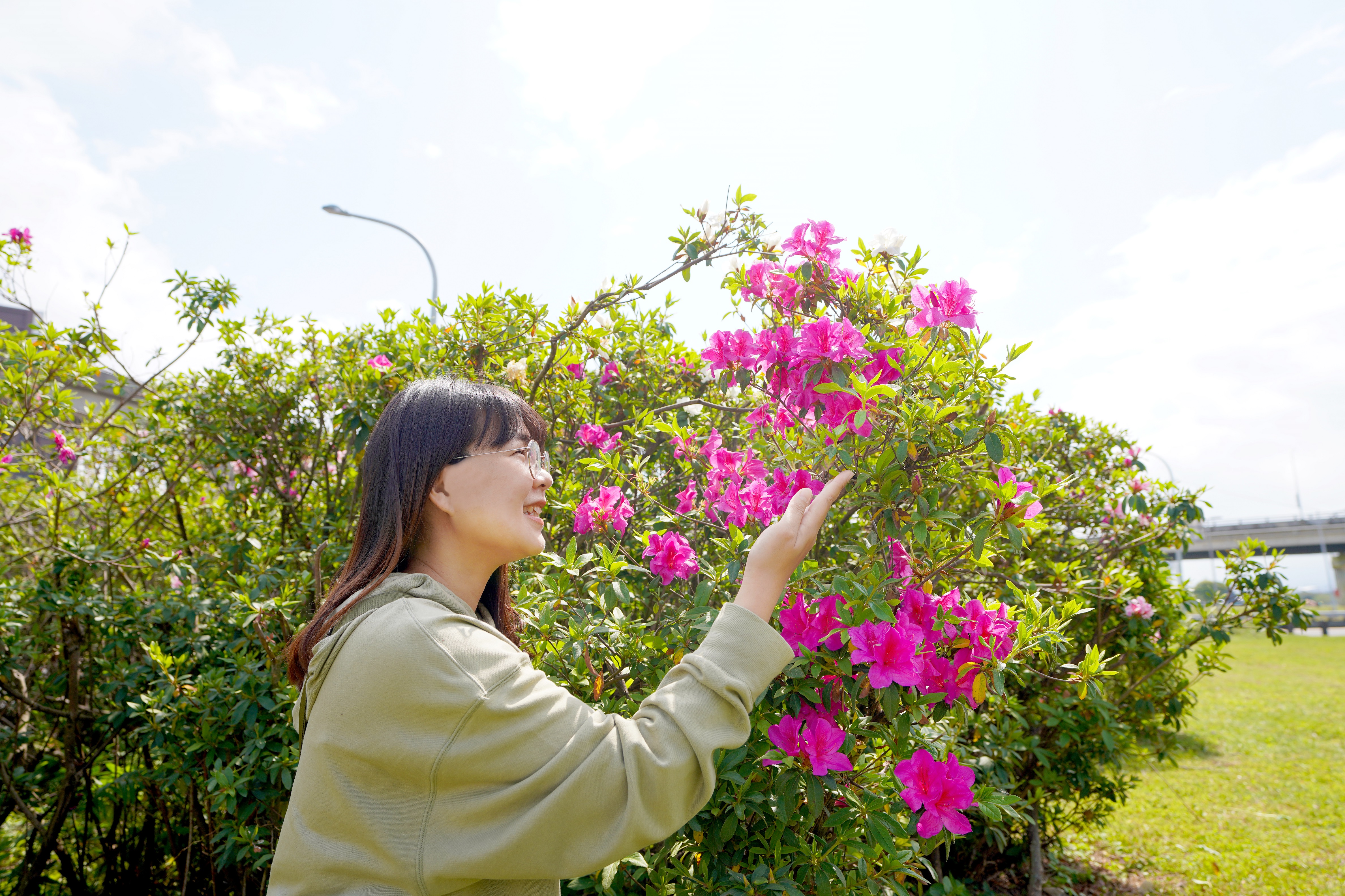 1.嬌豔欲滴的杜鵑花正熱情盛開中
