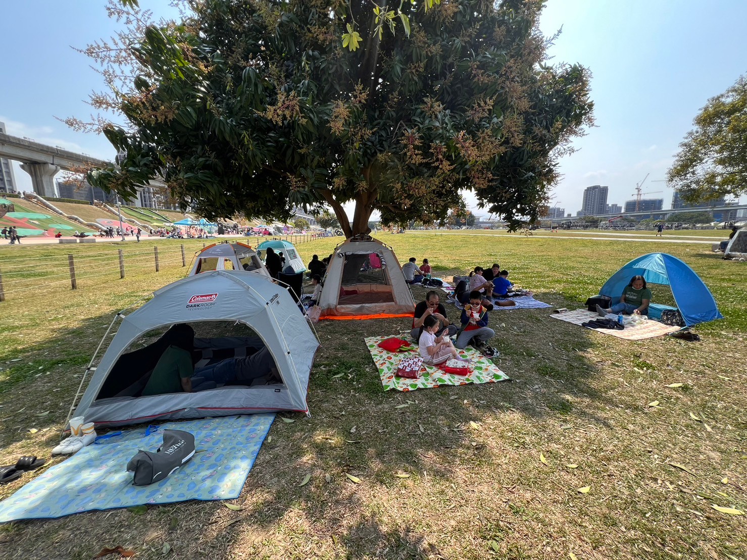 新北大都會公園假日來享受綠地舒適的野餐民眾