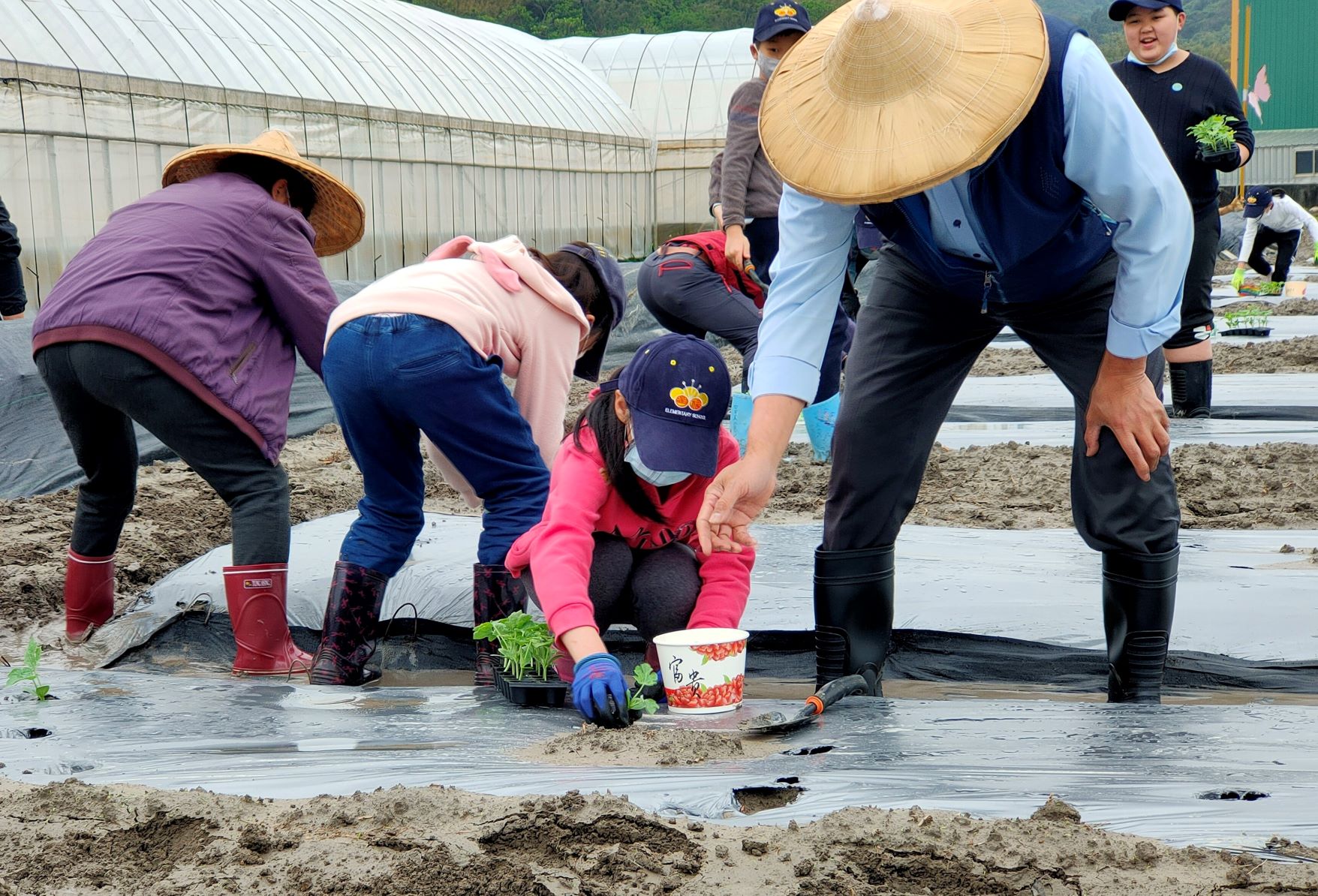 本次食農教育活動共計12位學生參與，種植約100株西瓜苗