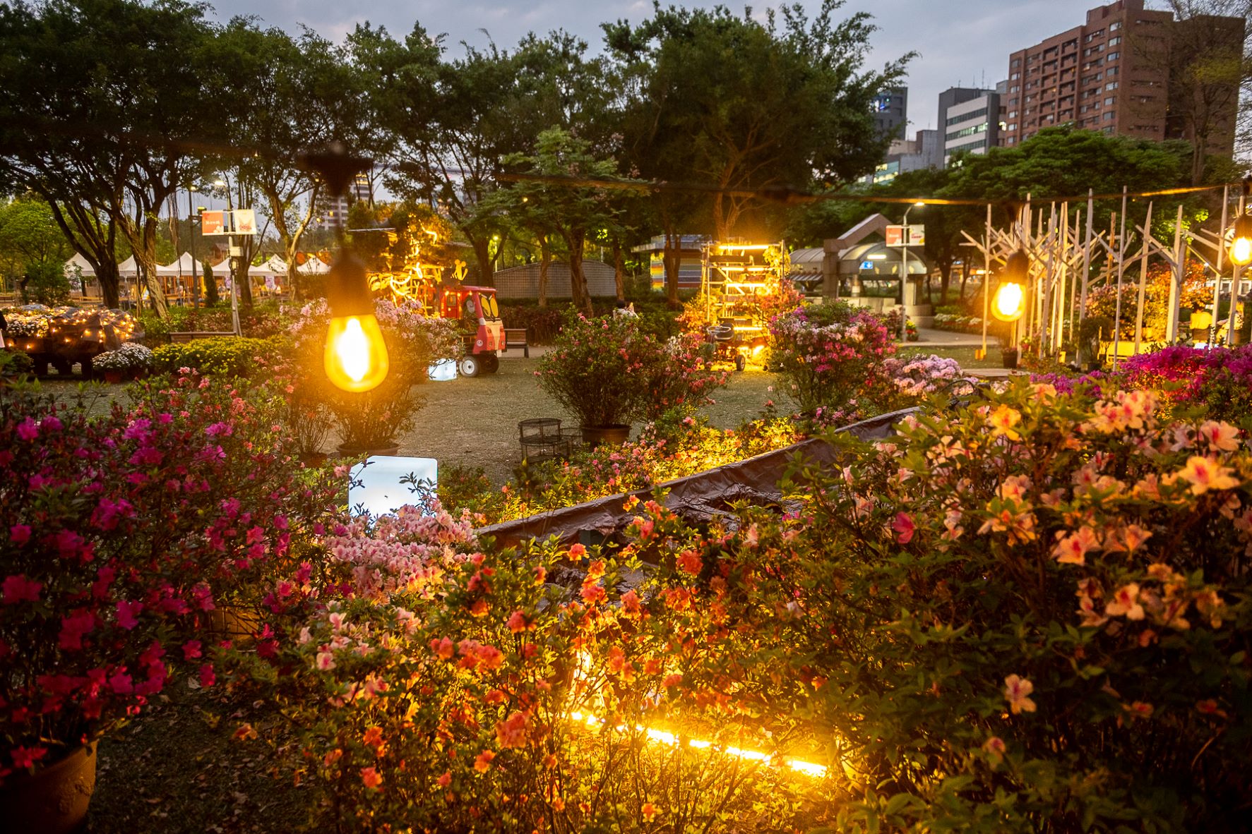 今年「萬金杜鵑-移動花聚落」與「台北杜鵑花季」合作，將原在新北萬里瑪鋉溪畔展出的杜鵑花車及花船作品，移動到台北市中心展出