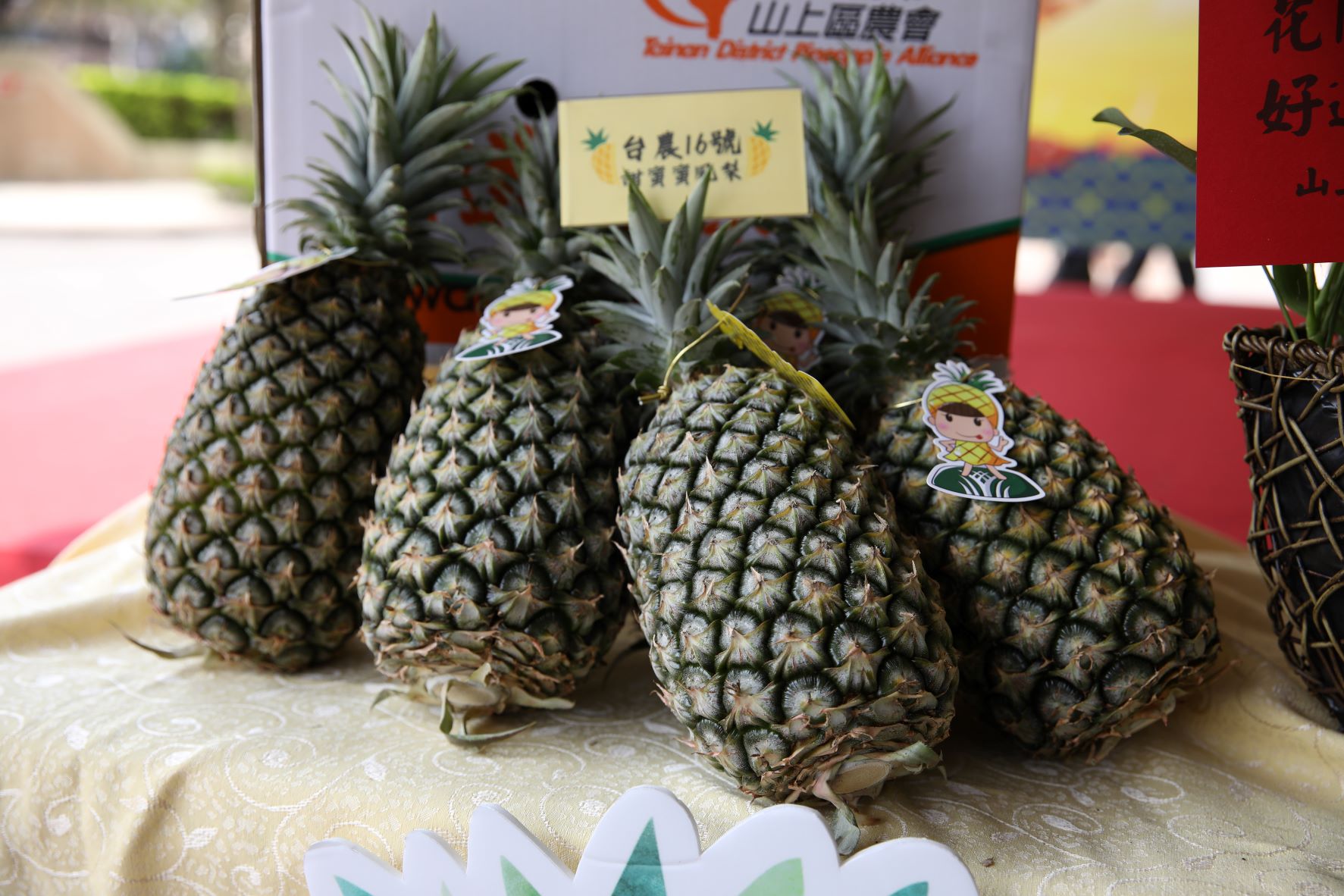 臺南市政府及山上區農會特別於產季期間為新北市民帶來最新鮮的臺農16號甜蜜蜜鳳梨及臺農17號金鑽鳳梨