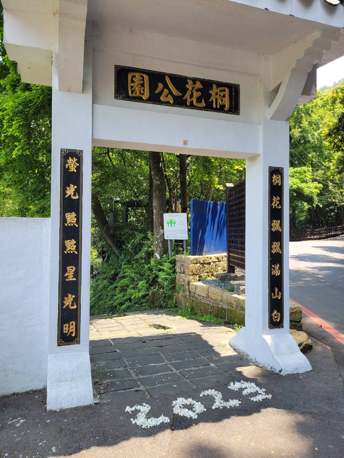 熱門賞桐景點土城桐花公園