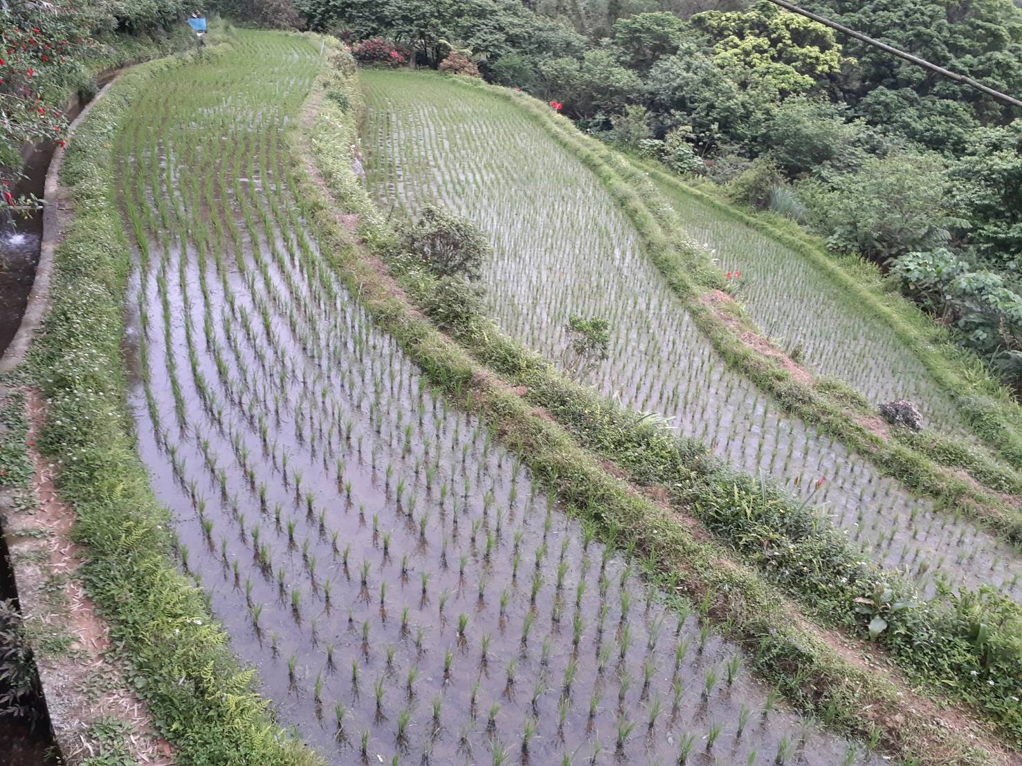 透過「生態薪水」方式獎勵維護生態的農民，讓保育成本不再只由農友承擔