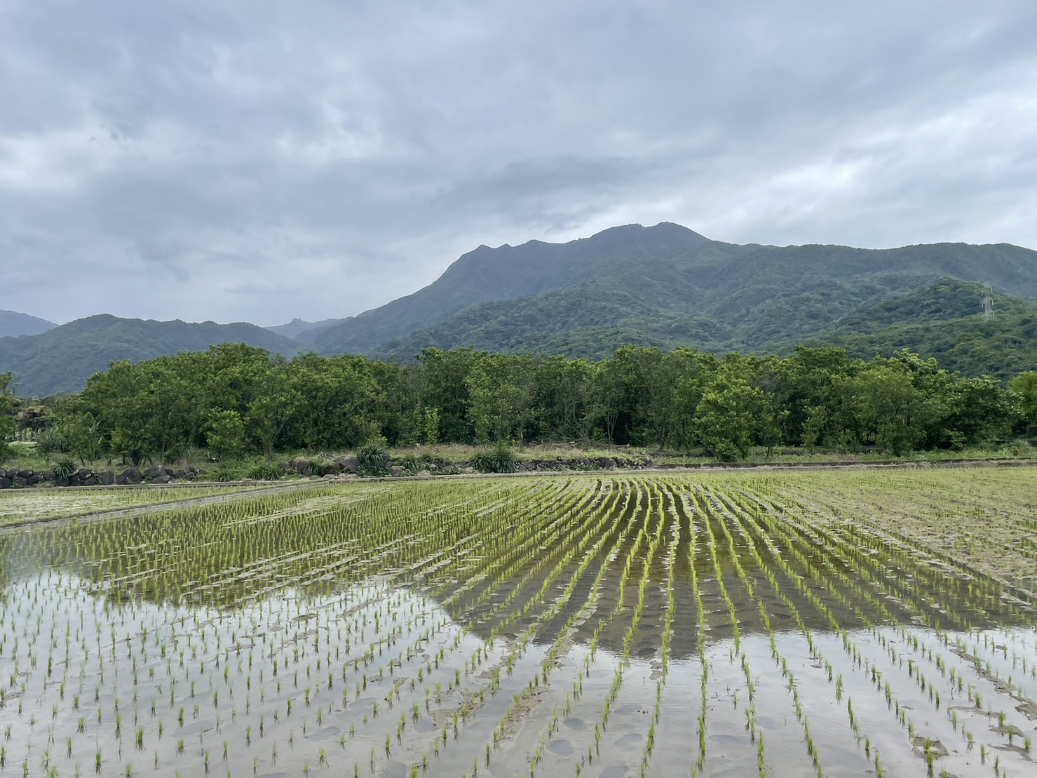 透過「生態薪水」鼓勵農友採取對瀕危物種及棲地保護的措施，每公頃最高可領7萬元，共同以實際行動投資我們的星球