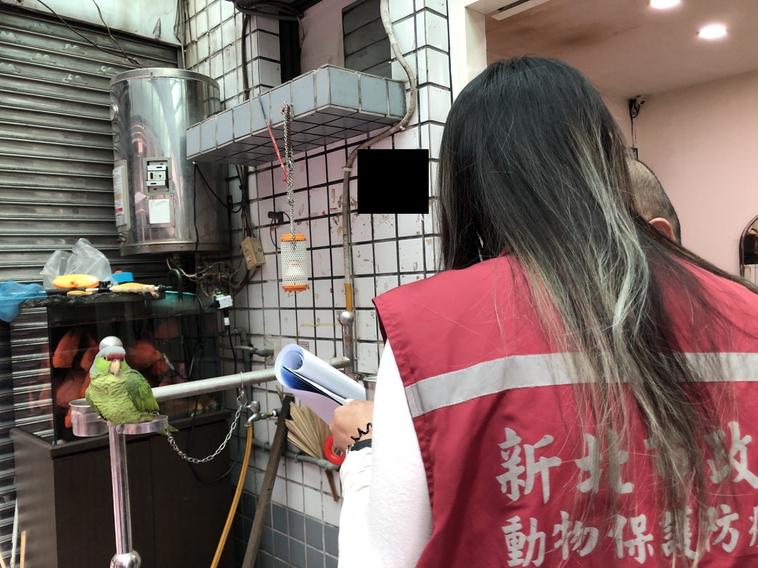 新北市動保處會同保七查證