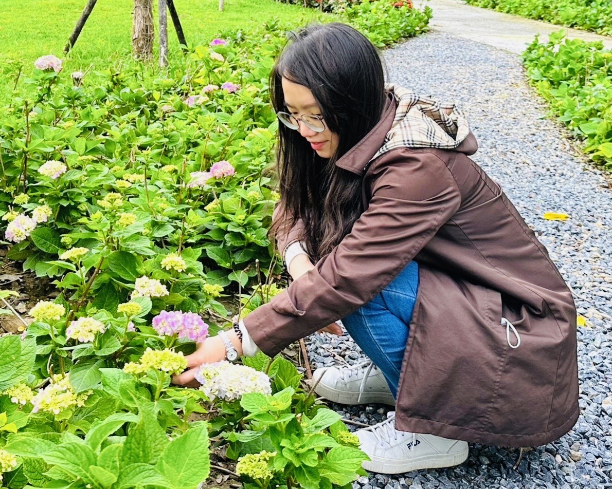 上千株繡球花是新亮點，一年只開一次花，熱愛賞花的「花粉」們別錯過喔