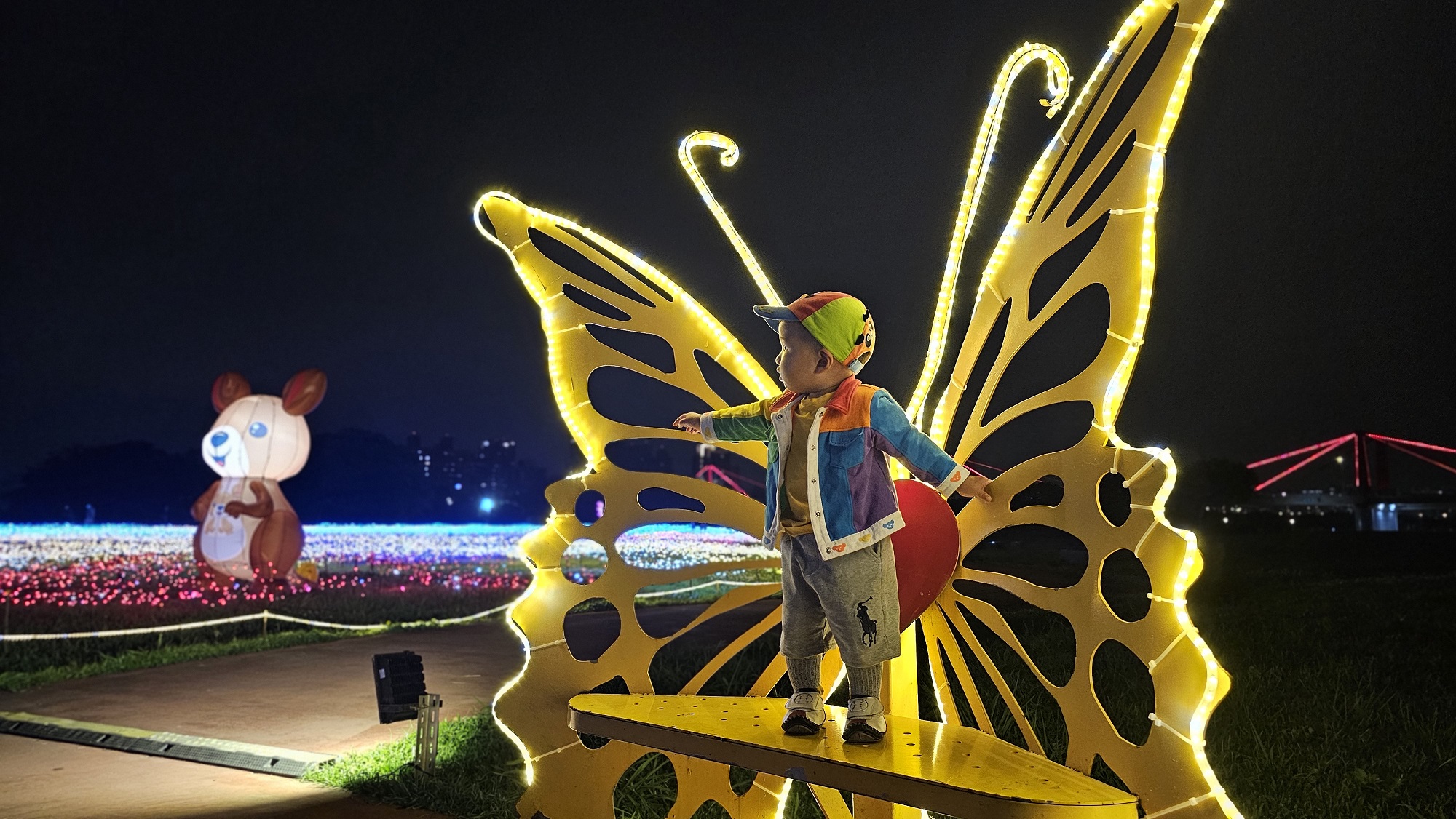 5.快來蝴蝶公園看可愛袋鼠