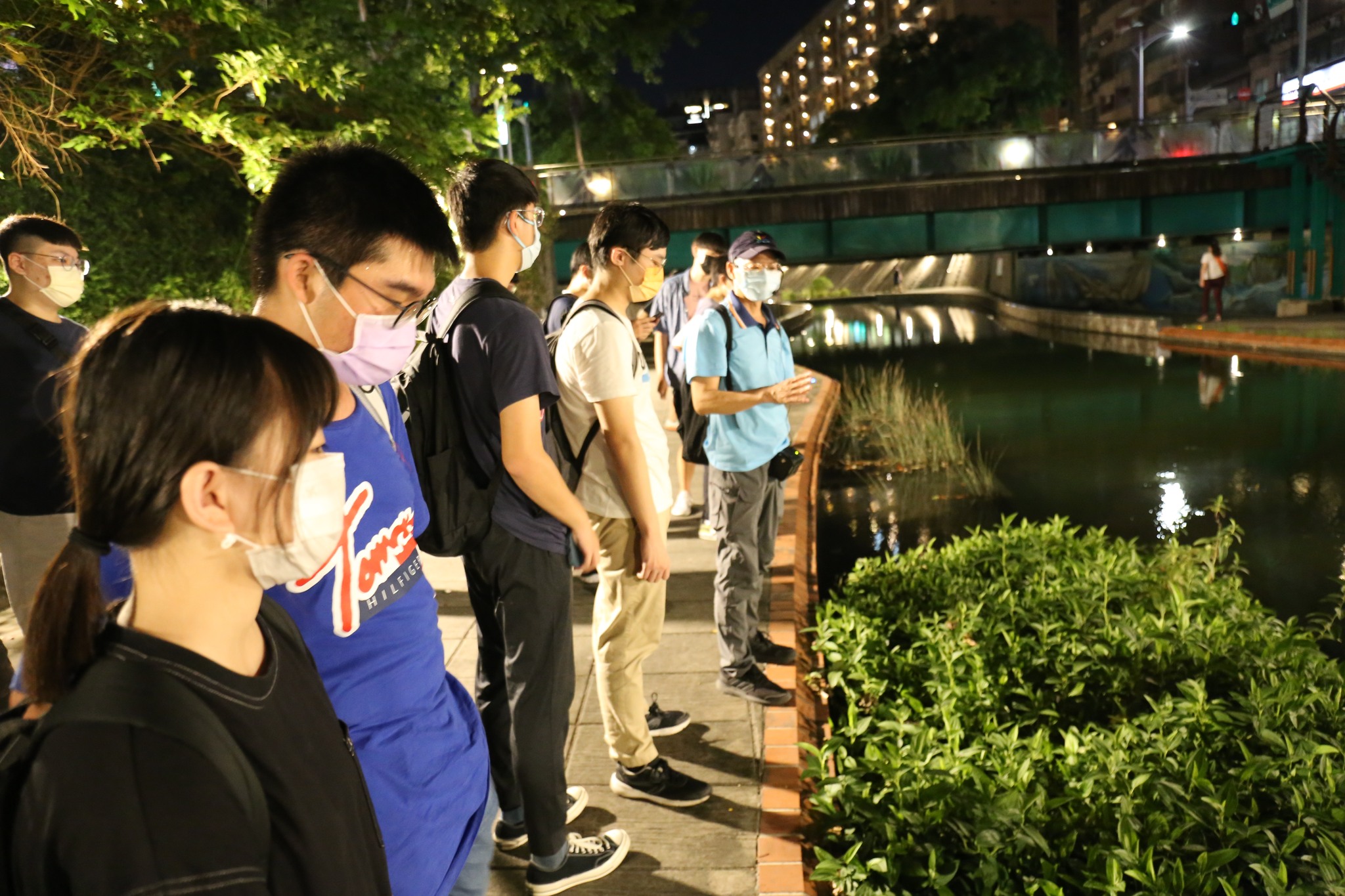 中港大排星光導覽，介紹岸邊水生植物除了淨化水值、光合作用外，群聚成叢時可提供微小生物藏匿、休憩之所