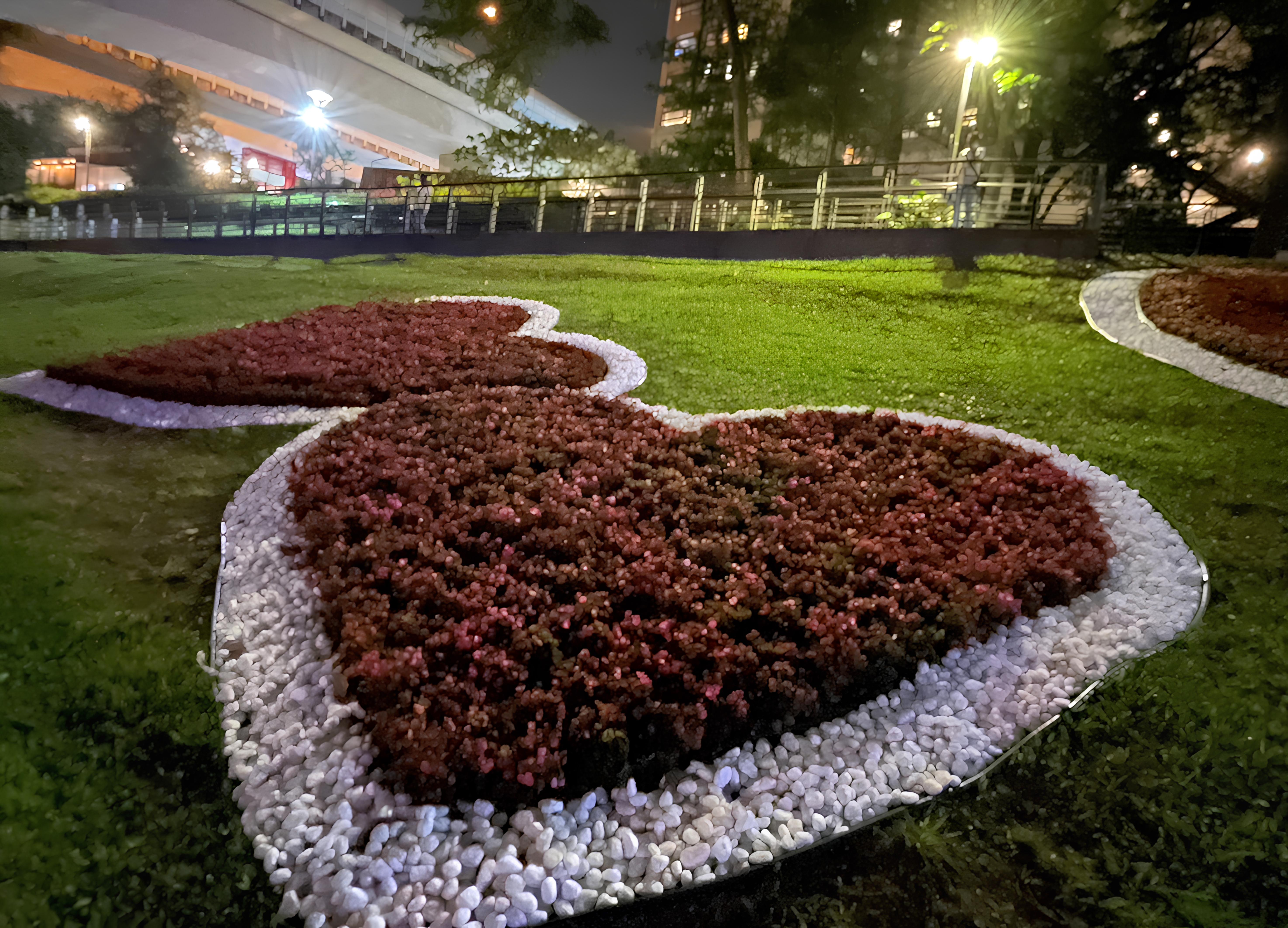 以鵝卵石及秋海棠排列愛心造型，襯托碧潭夜色，成為碧潭打卡新亮點。