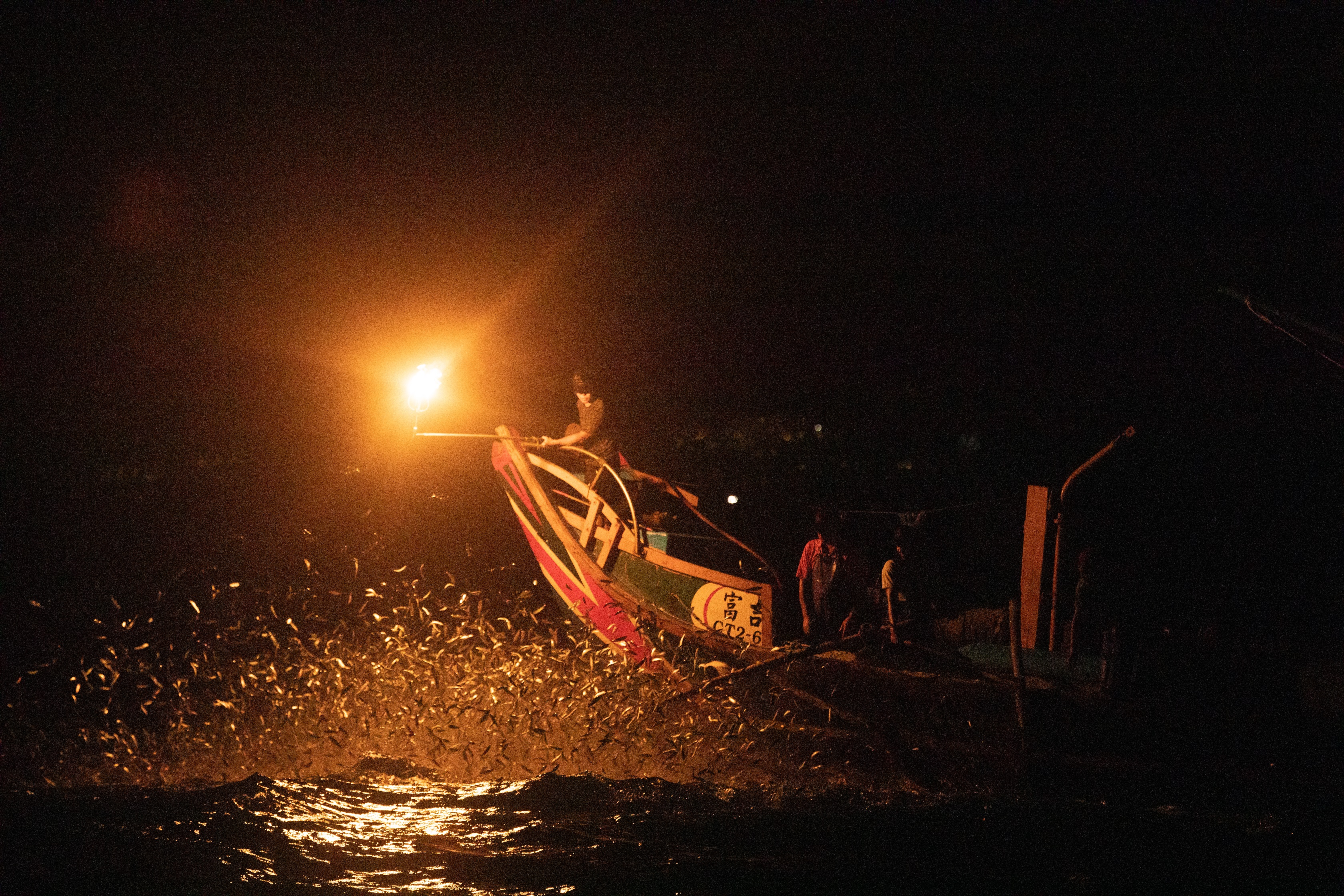 圖一、蹦火漁業利用瞬間火光捕撈青鱗魚