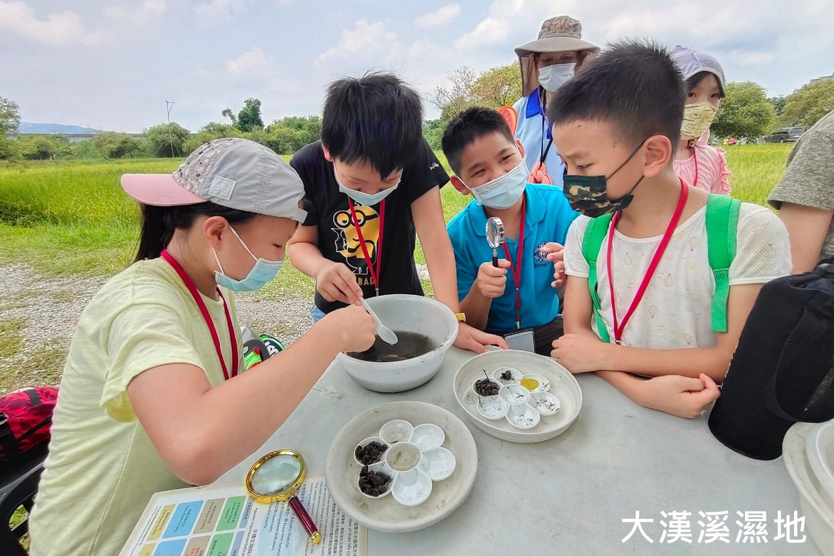 濕地水棲大驚奇課程