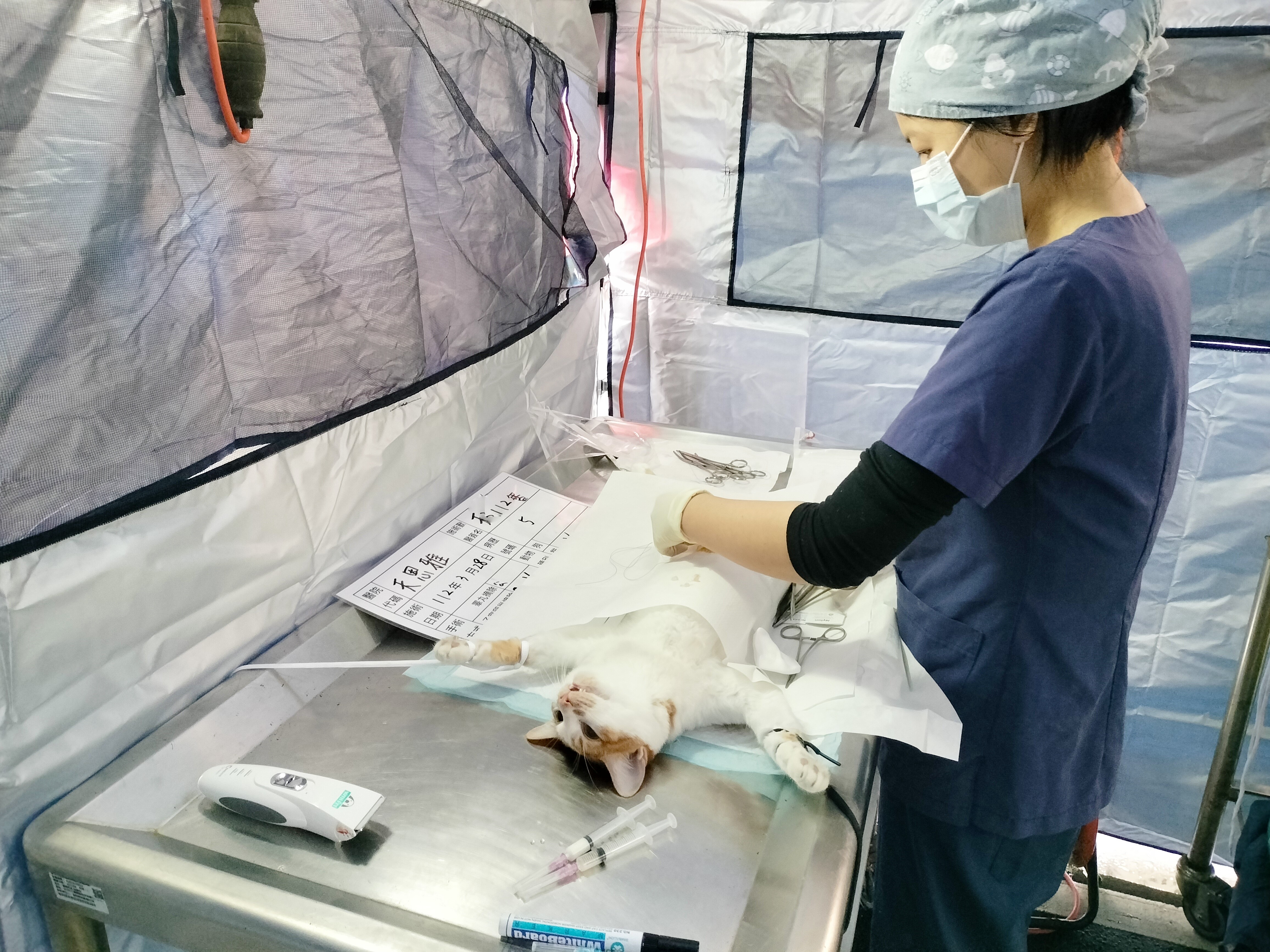 獸醫師為毛寶貝執行絕育手術