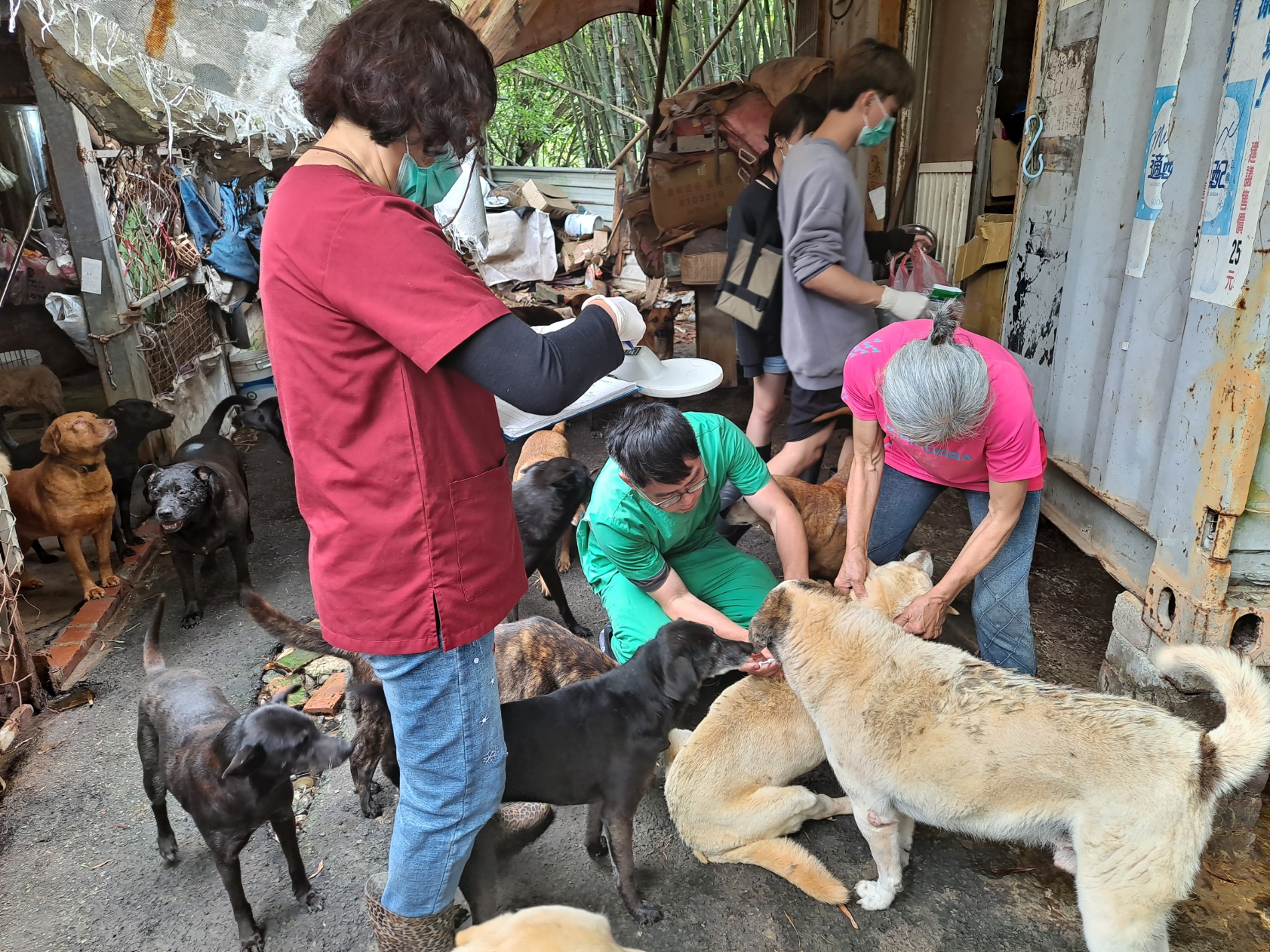 民間動物收容所清查造冊