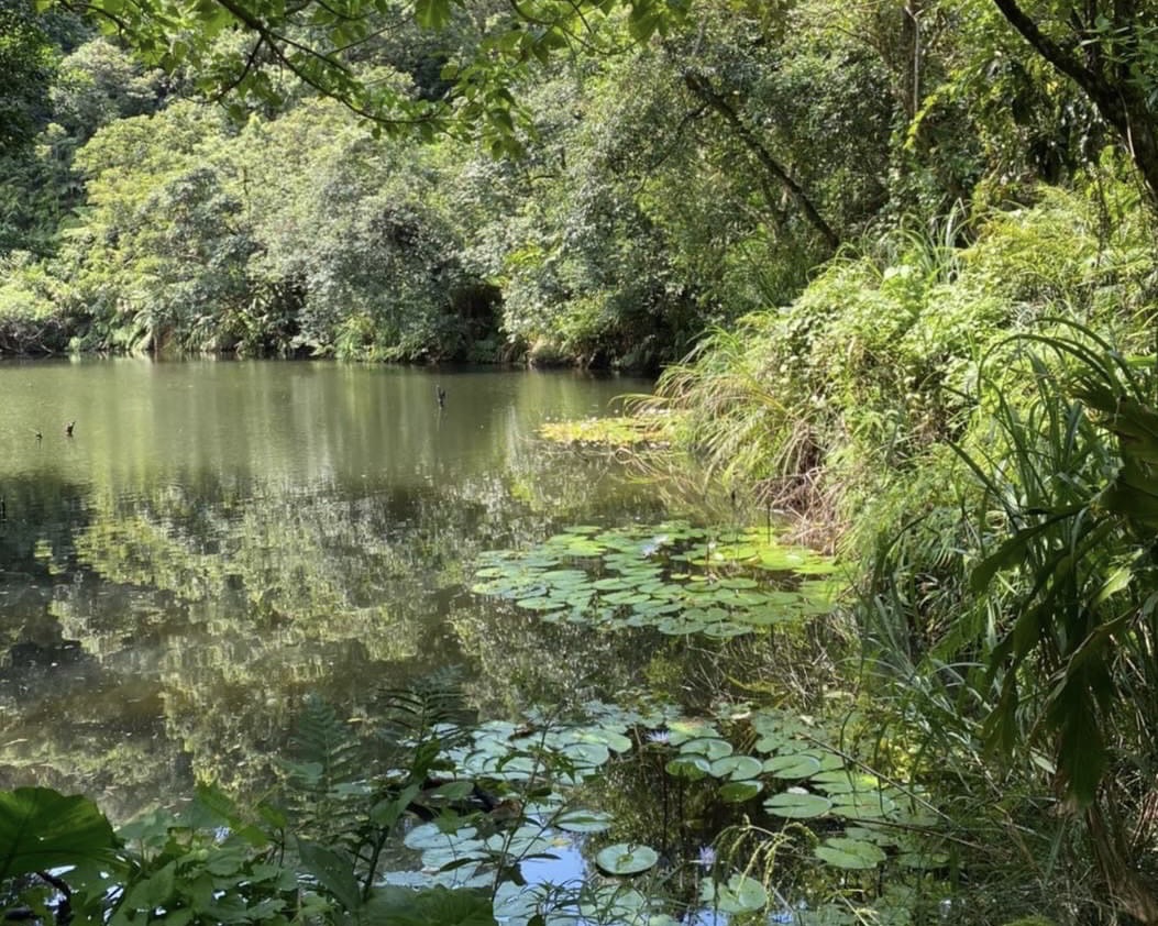 佔地約9.9公頃的白匏湖生態園區，位於汐止國道3號南側，鄰近汐止與南港都會核心區，未來將在園區內以低碳工法打造長約1.5公里自然生態步道，沿途設置生態觀察設施、多處水岸觀景平台及地景式自然探索設施等。