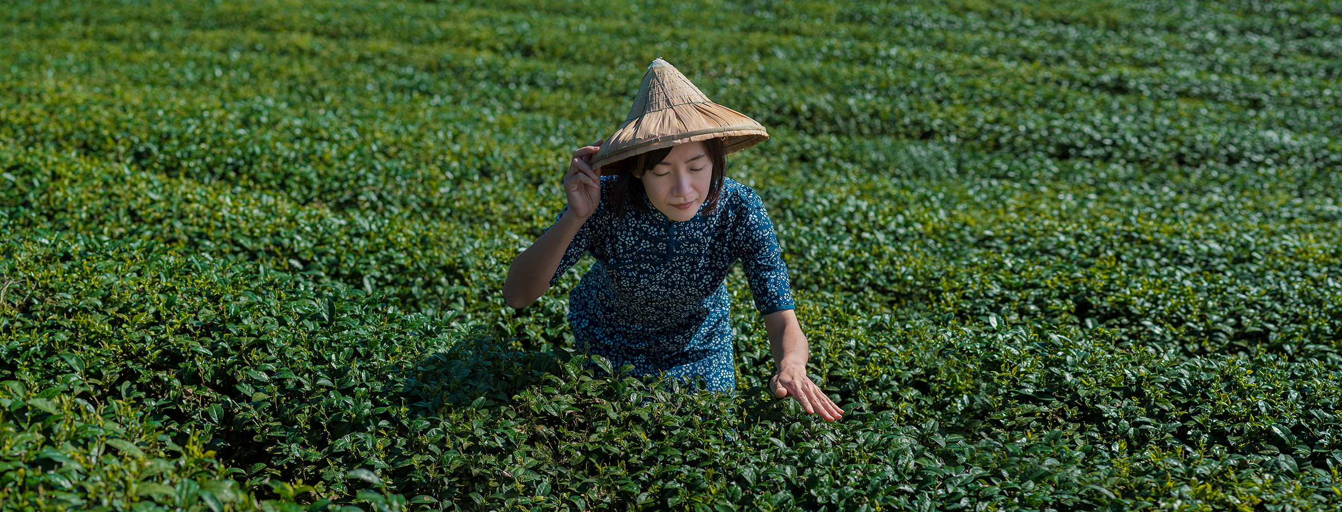 客籍藝術家李懿宸攝影創作《茶中》