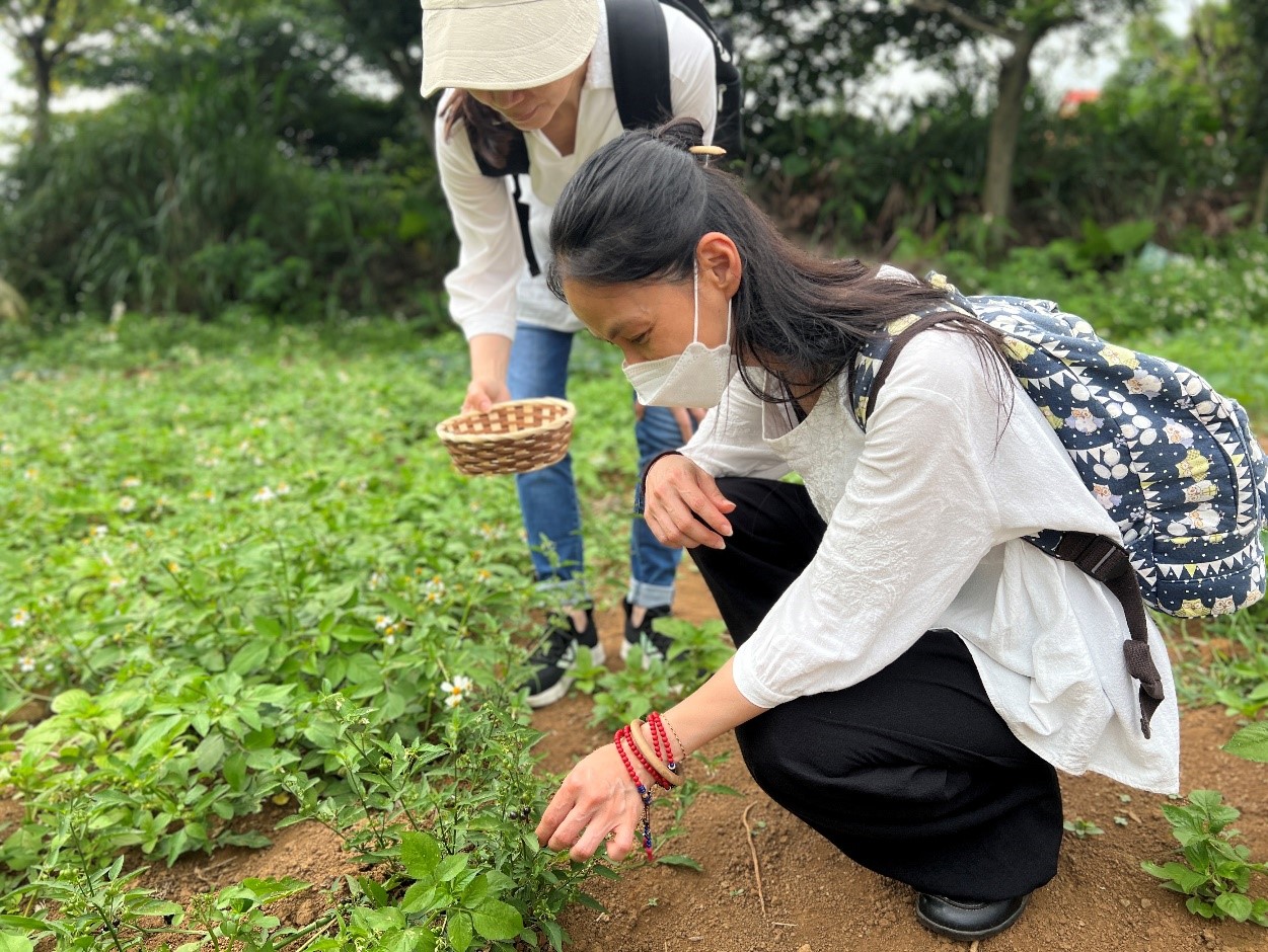「三芝北新庄仔-農藝小旅行」到田野間尋覓插花素材，妝點花藝