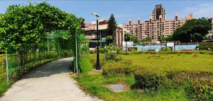 樹林區大安路綠家園成果。