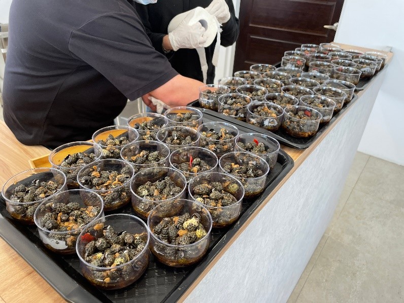 金點草里驛棧燒酒螺料理
