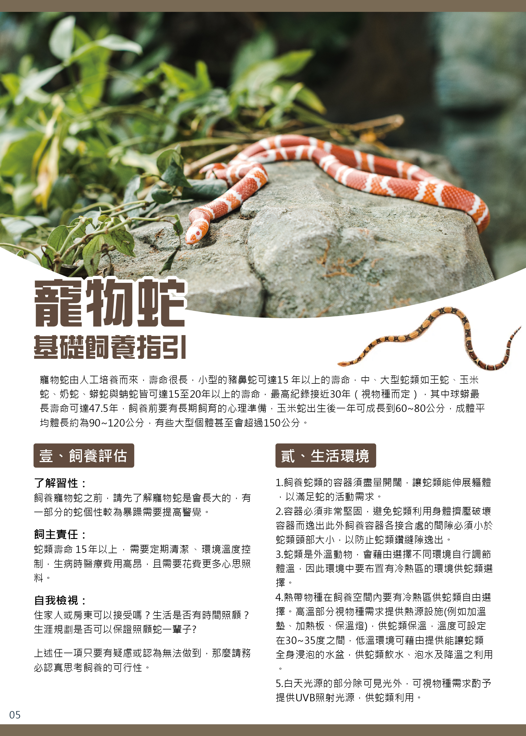 動保處推出寵物蛇基礎飼養指引