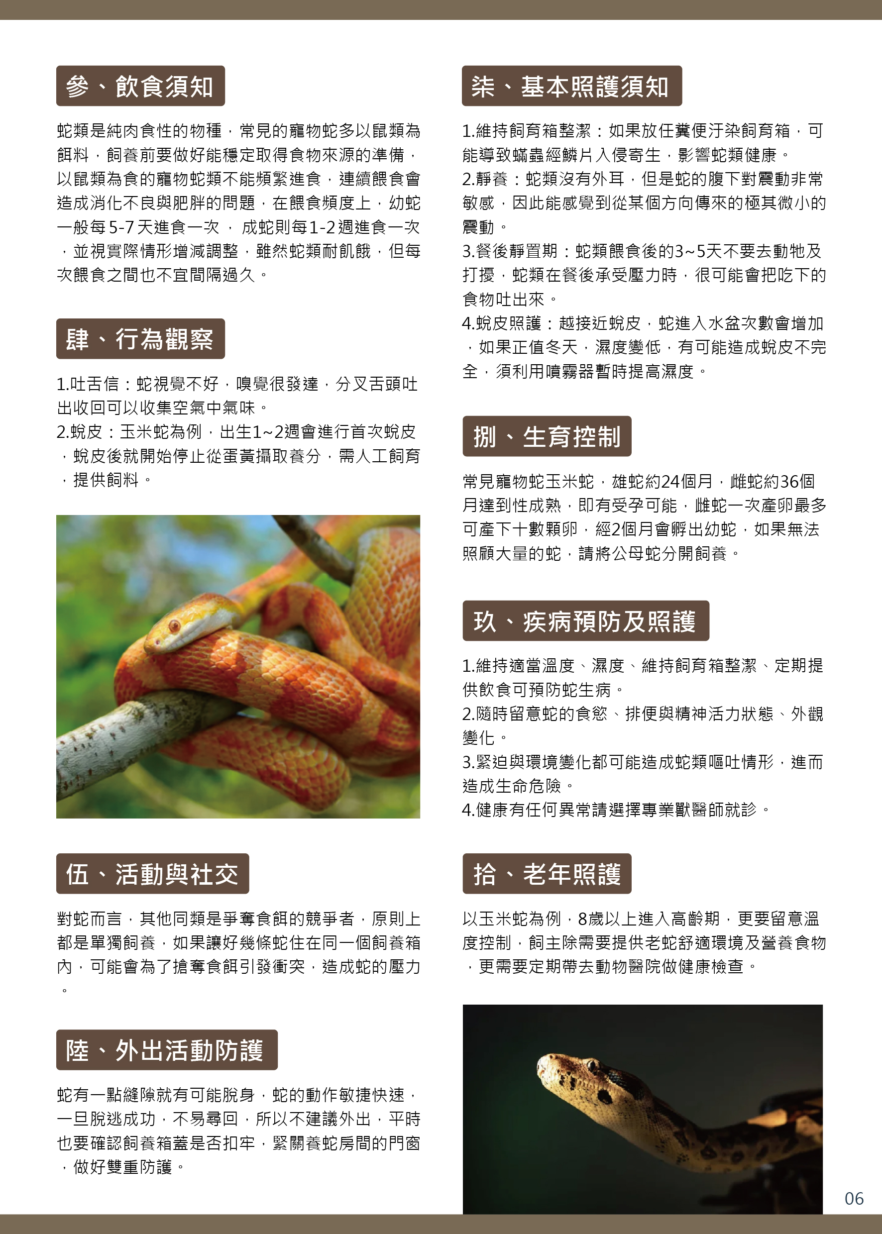 動保處提醒飼主可依照基礎飼養指引的說明，提供寵物蛇妥善飼養環境
