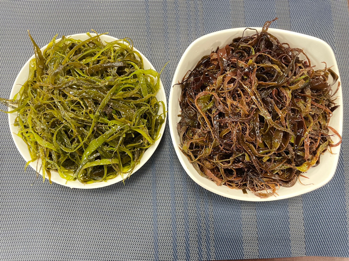 右邊紅色為剛摘採的「黃氏葉膜藻」(俗稱海大麵)，左邊綠色為川燙後的海大麵
