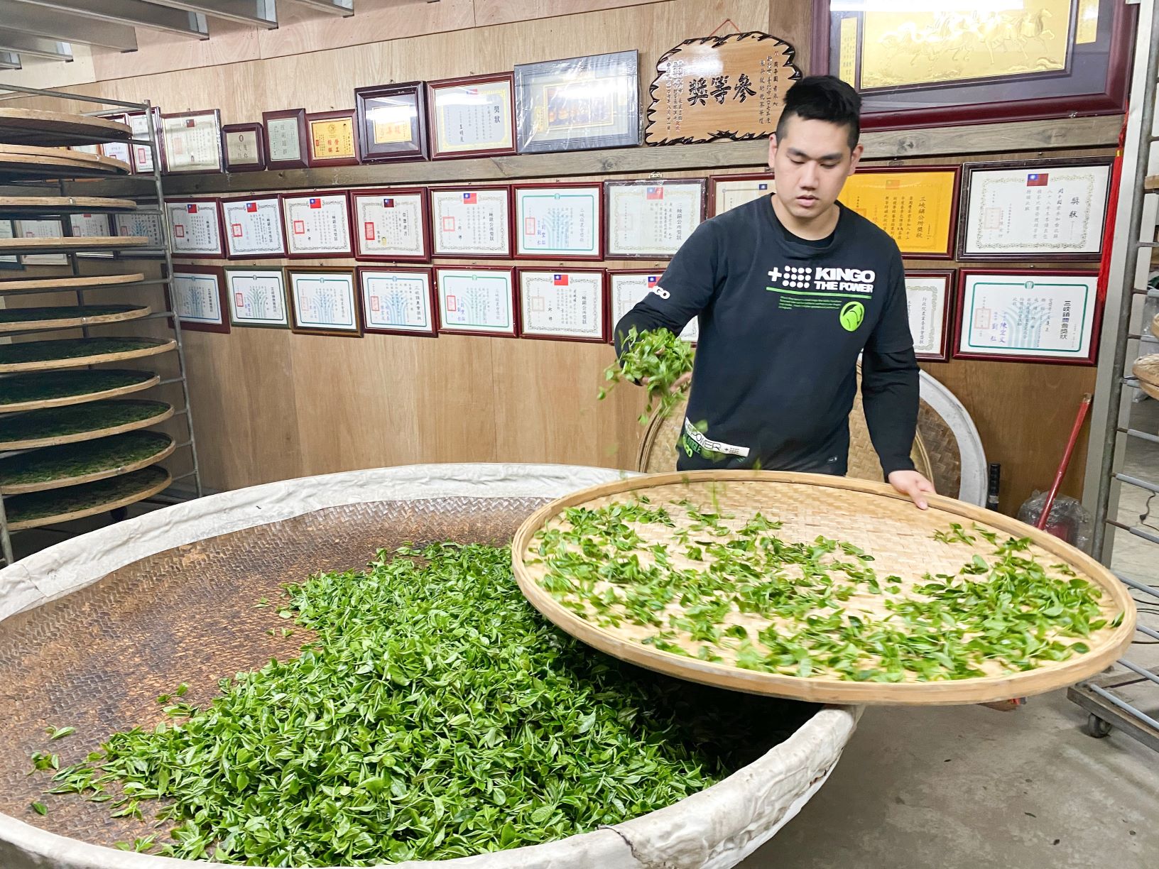 周子耀透過控溫除溼，讓茶菁走水順利，產製鮮味外，掌握萎凋時間、揉捻茶葉及發酵程度就能製出好茶