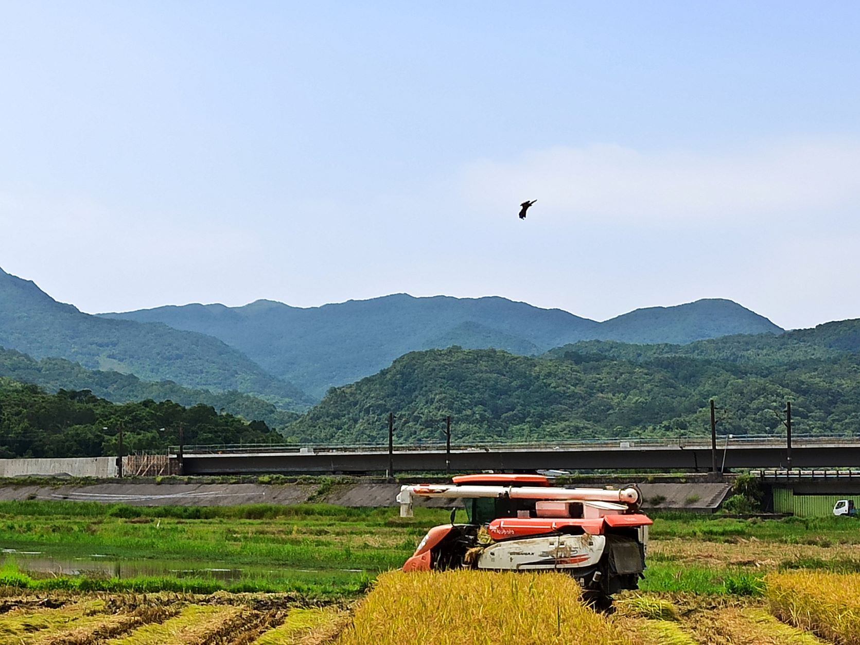 全球最知名的鳥類資源線上資料庫eBird紀錄田寮洋地區出現鳥種已達355種，居全台之冠，棲地保育有成