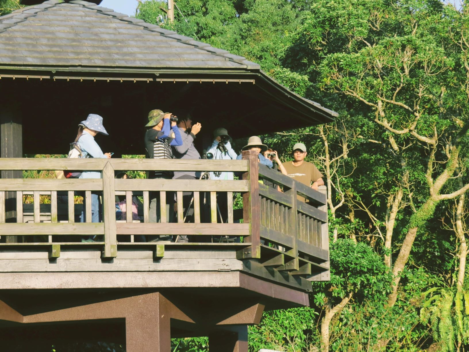 「田寮洋水鳥保育種子培力」課程內容包含田寮洋冬季常見鳥類認識、鳥類觀察與望遠鏡使用等，豐富又實用